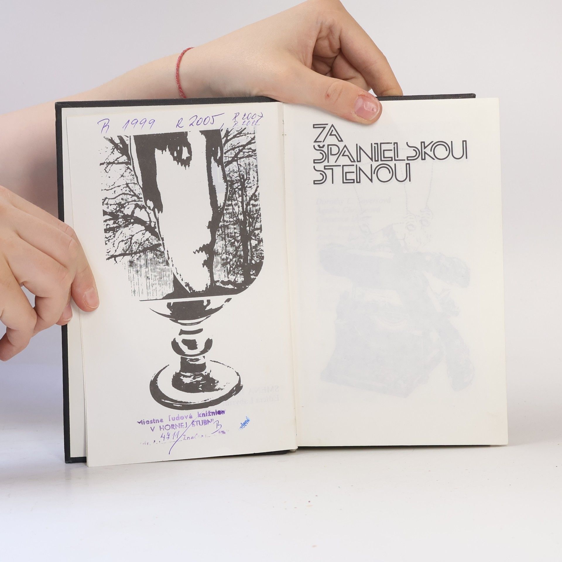 Collectif d'auteurs Za španielskou stenou