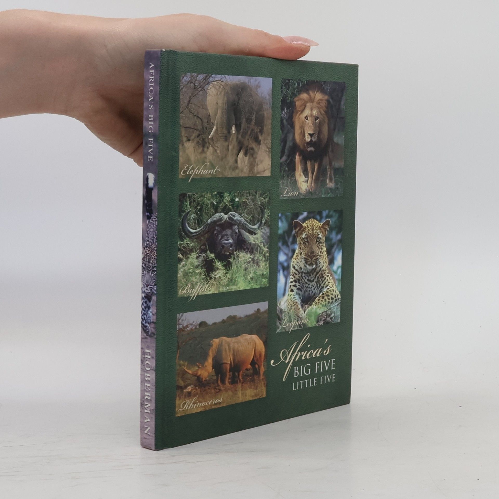 Big 5 Little 5 Journal