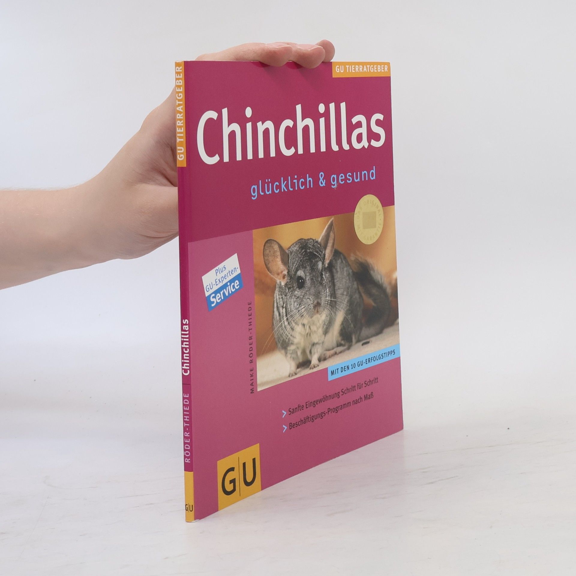 Maike RöderThiede Chinchillas