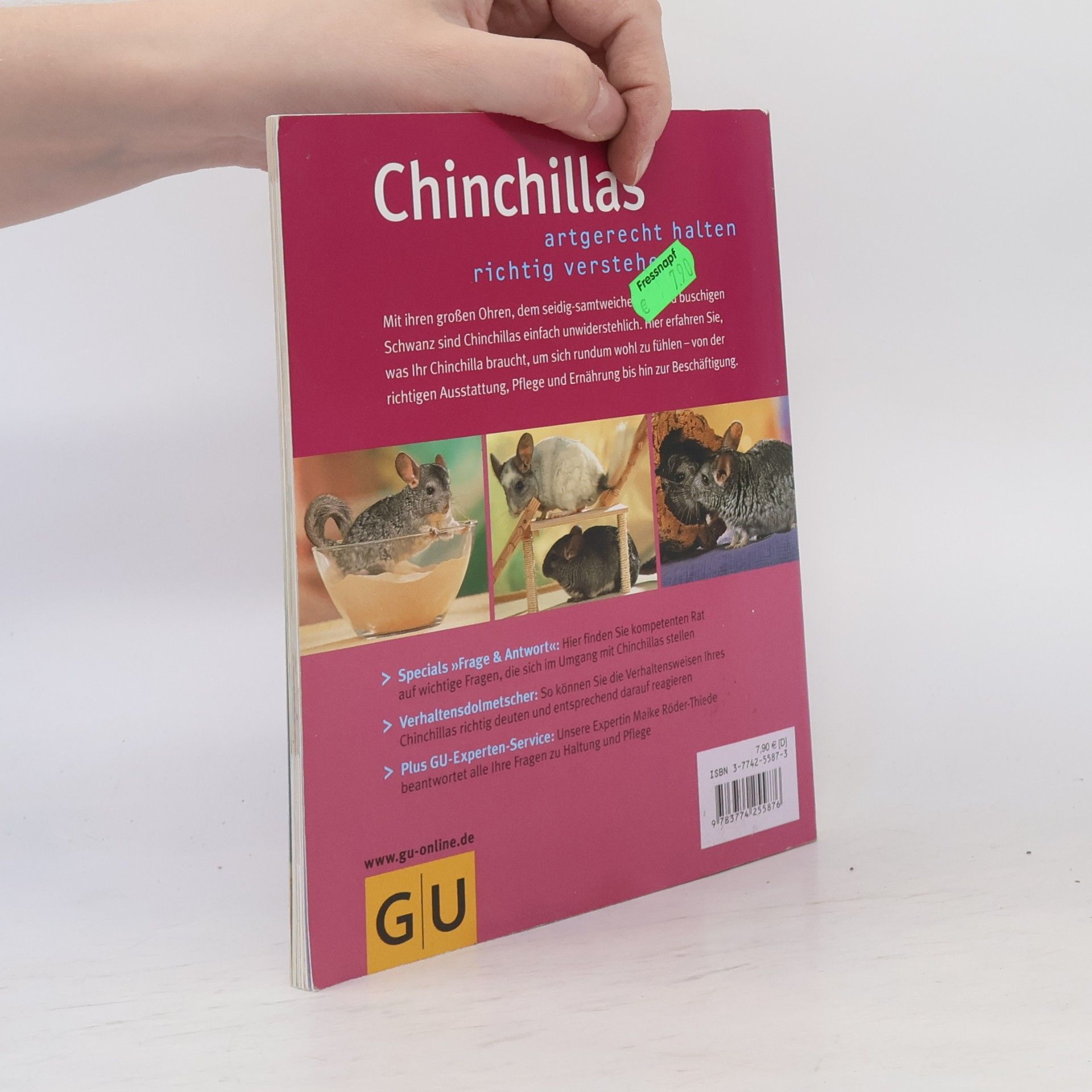 Maike RöderThiede Chinchillas