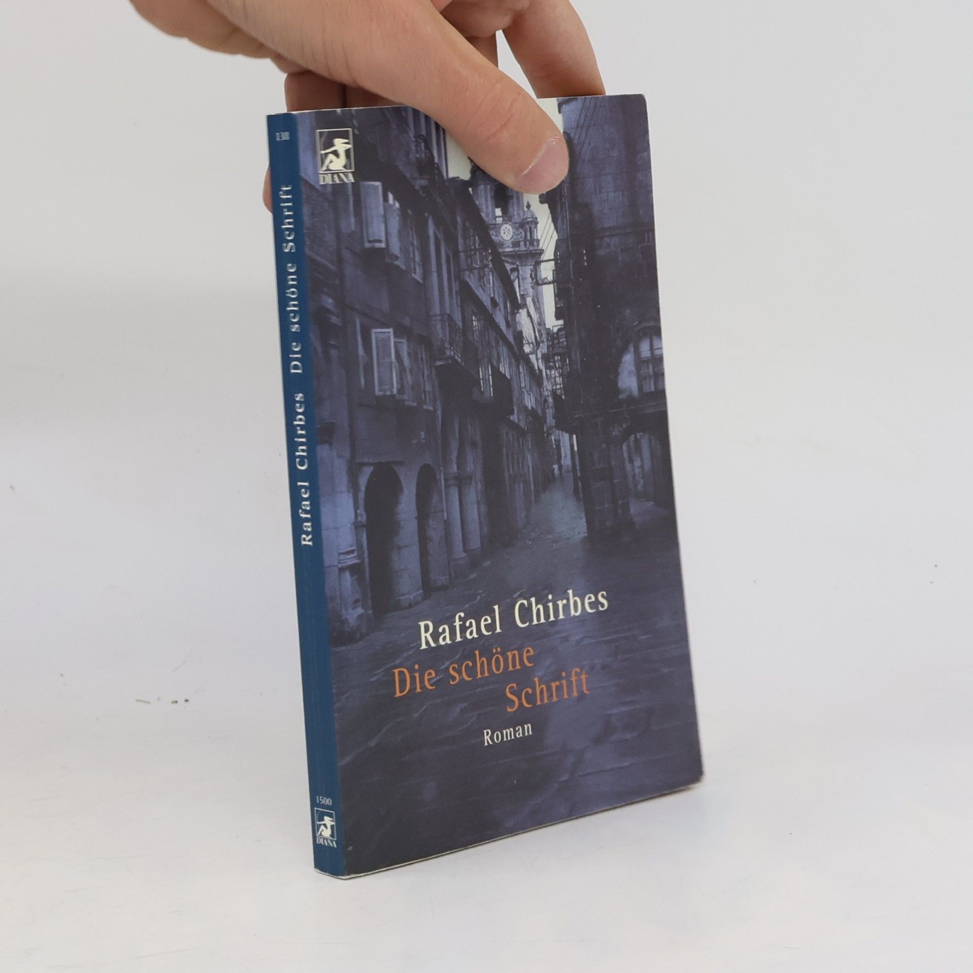 Rafael Chirbes Die schöne Schrift