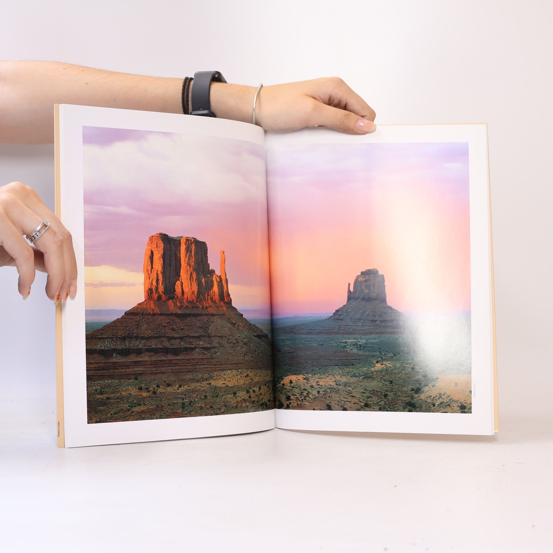 Anne Markward Monument Valley Navajo Tribal Park - Multiple Language Edition: Français-Deutsch-日本語