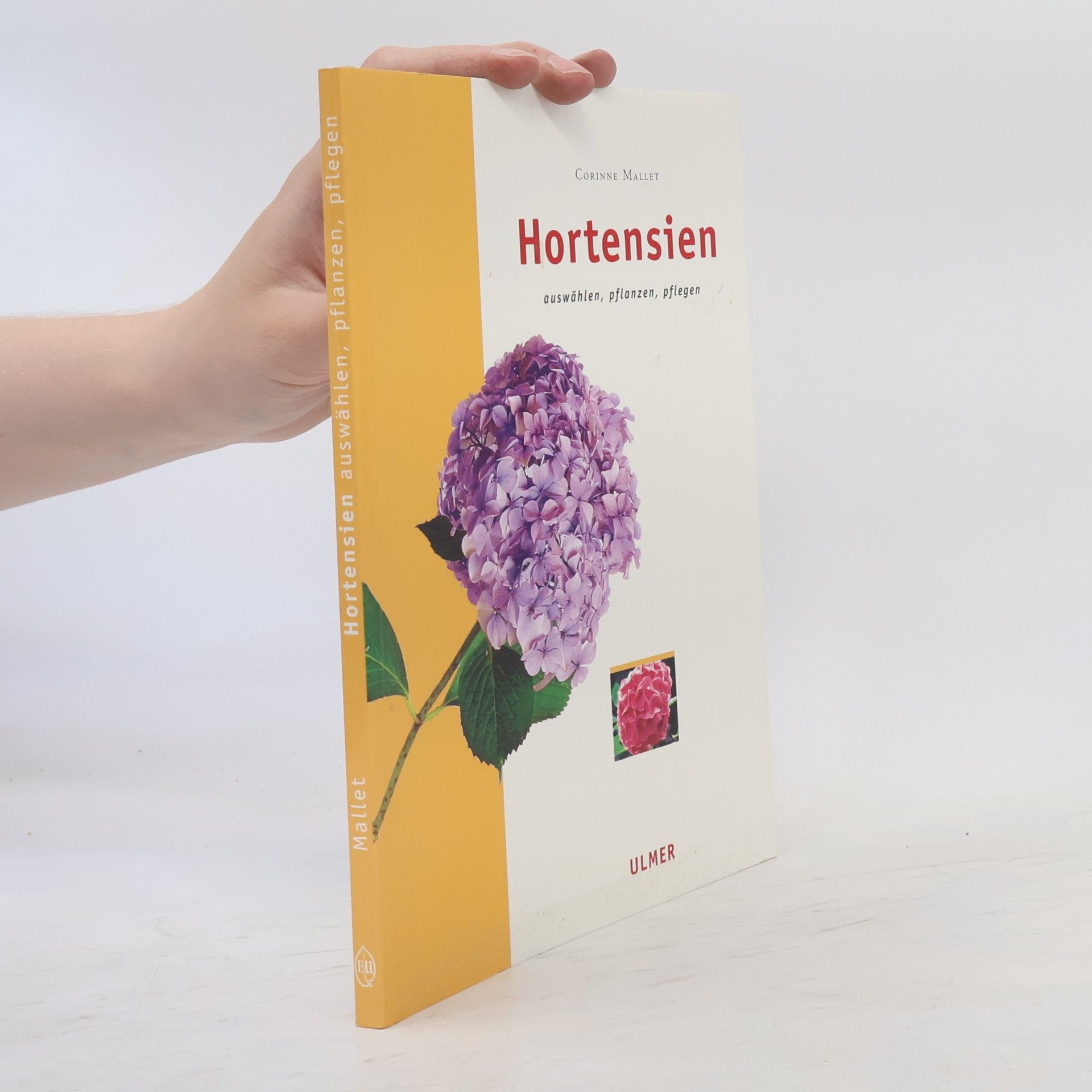Corinne Mallet Hortensien
