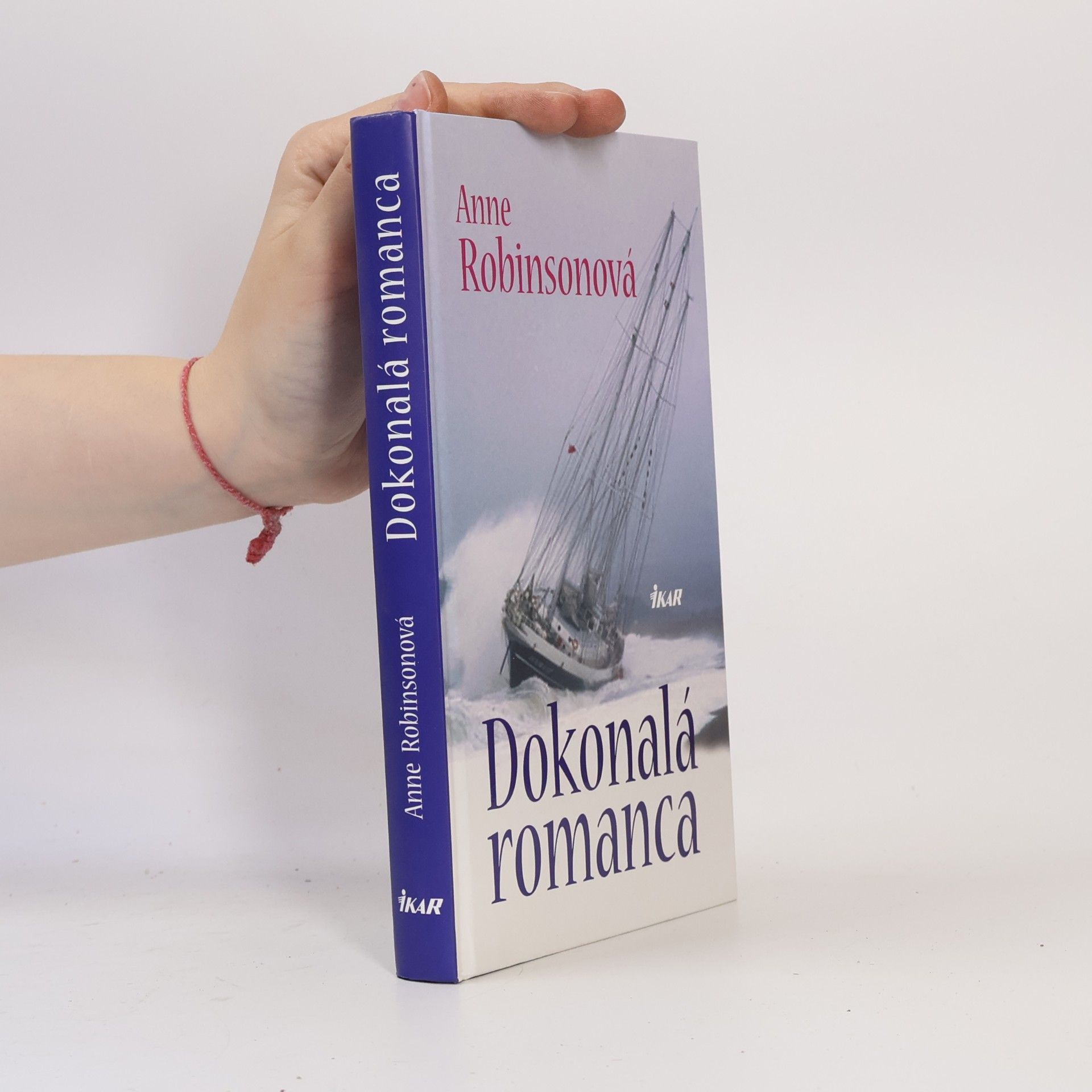 Anne Robins Dokonalá romanca