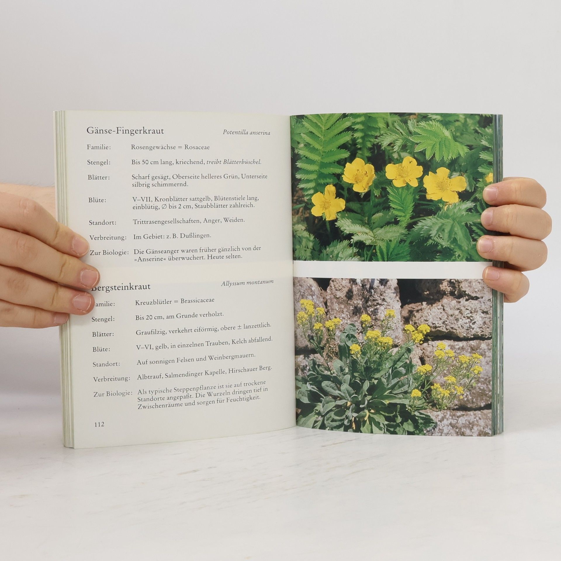 Autorenkollektiv Kostbarkeiten der Natur