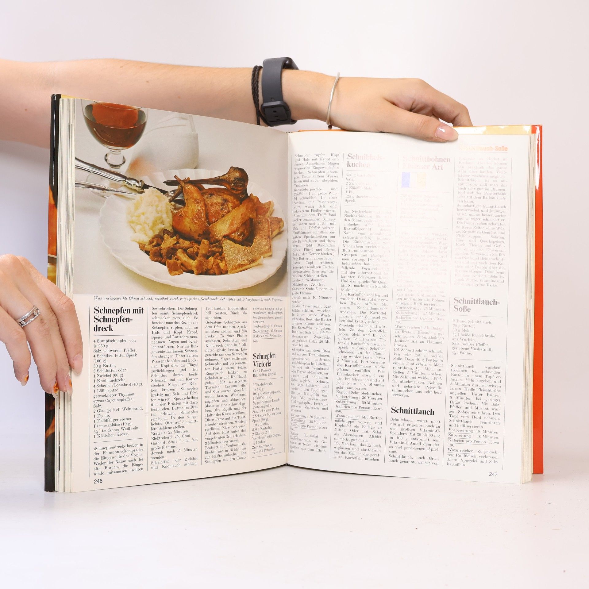 Kolektiv autorů Menu. Die Schönsten rezepte der Welt 9