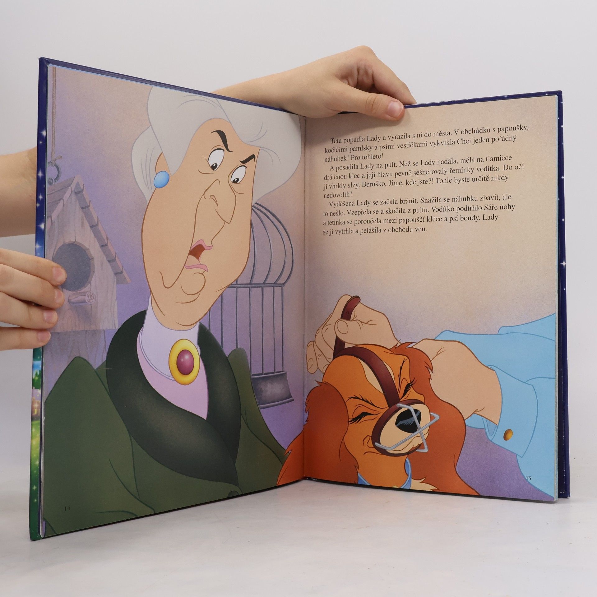 Autorenkollektiv Lady a Tramp
