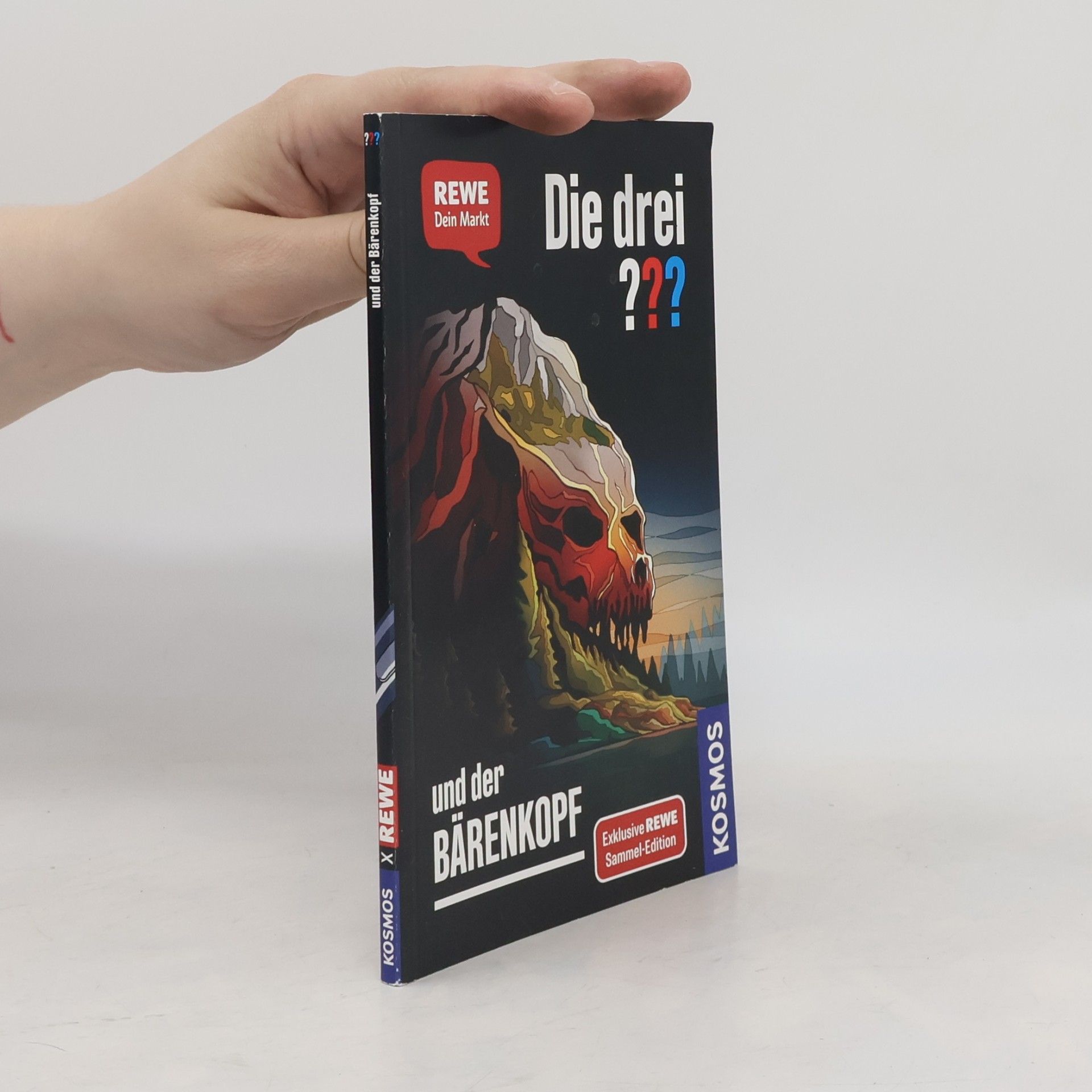 Andreas Ruch Die drei ??? und der Bärenkopf