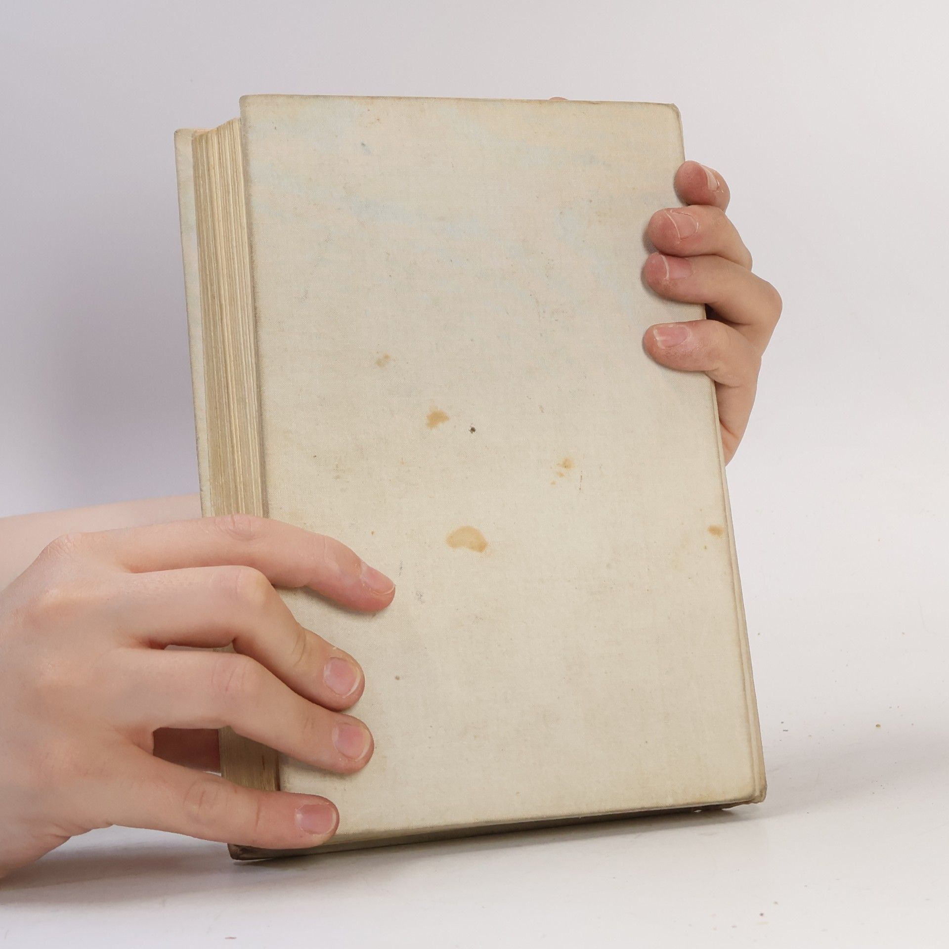 Alexandre Dumas der Ältere Pařížski mohykáni