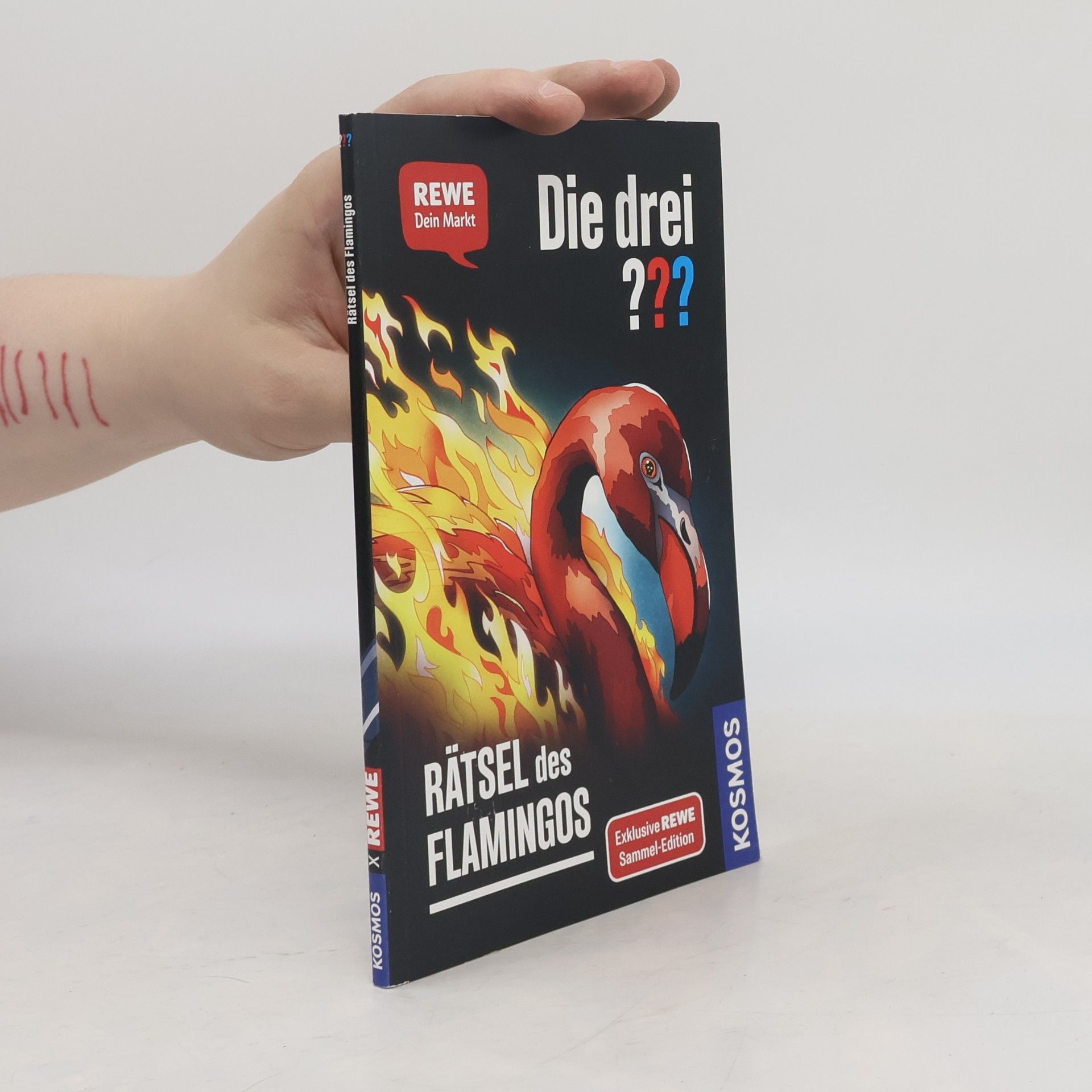 Andreas Ruch Die drei??? Rätsel des Flamingos