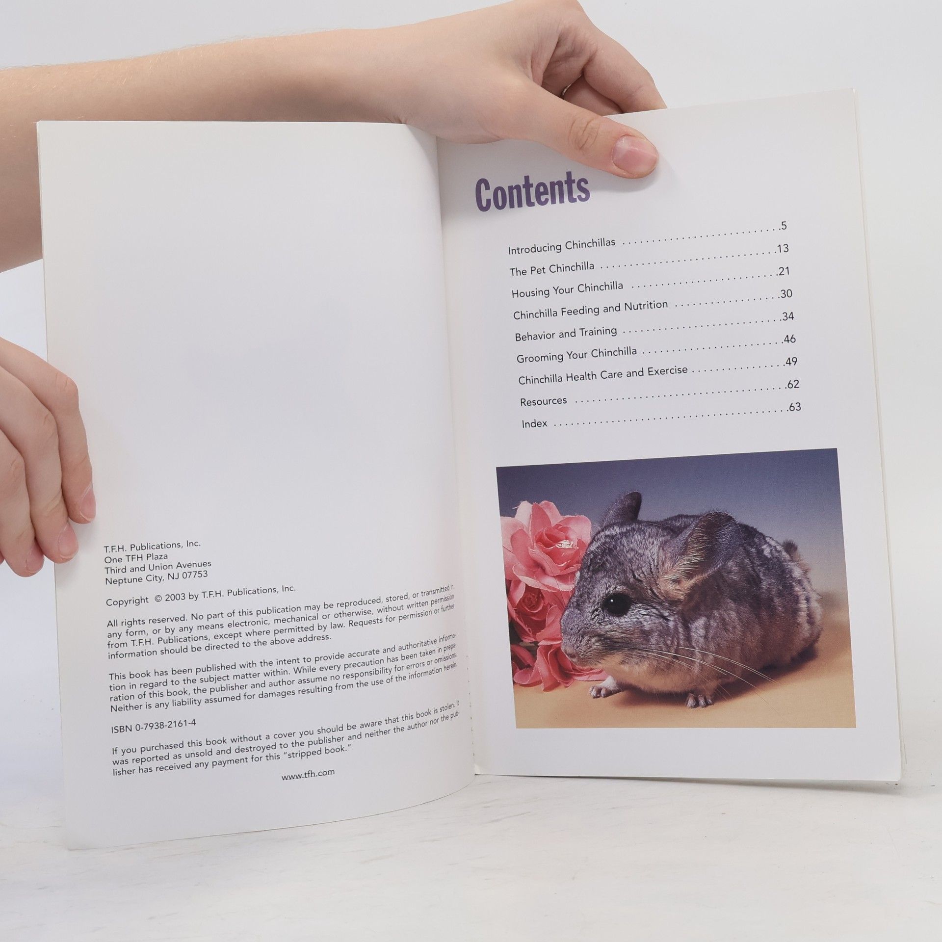 Anmarie Barrie The Guide to Owning a Chinchilla