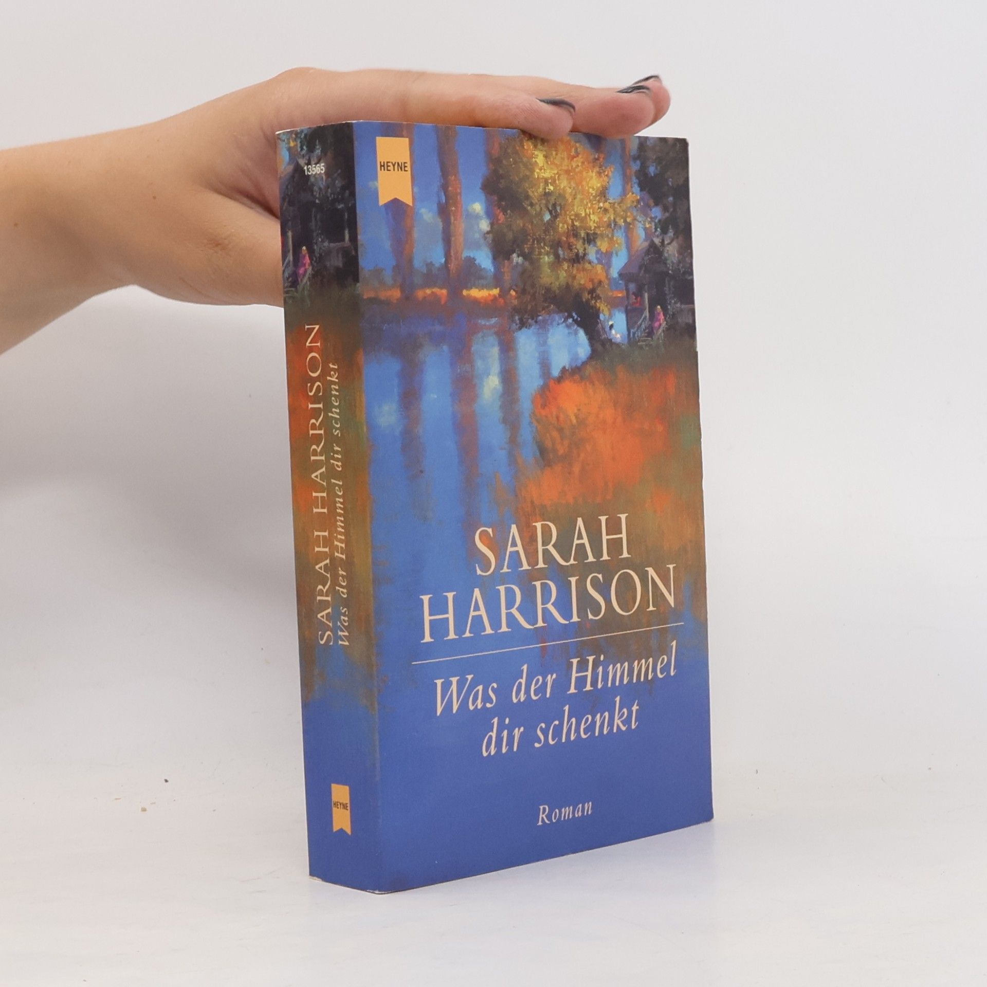 Sarah Harrison Was der Himmel dir schenkt