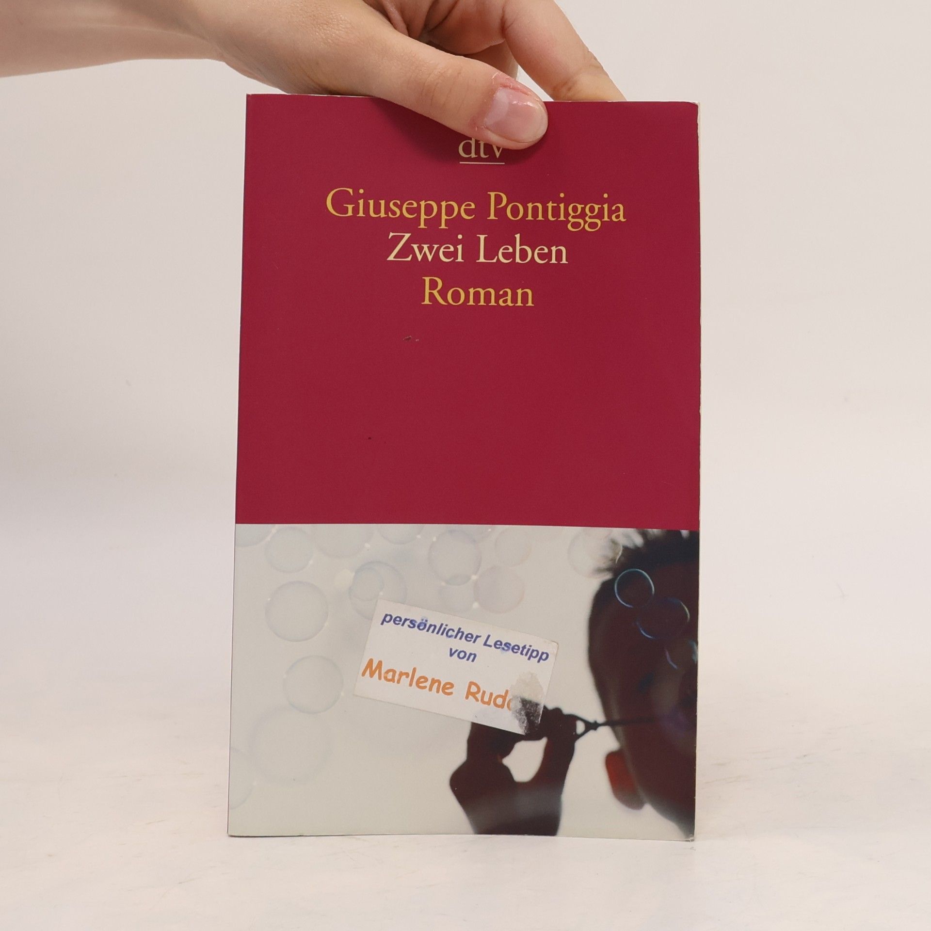 Giuseppe Pontiggia Zwei Leben