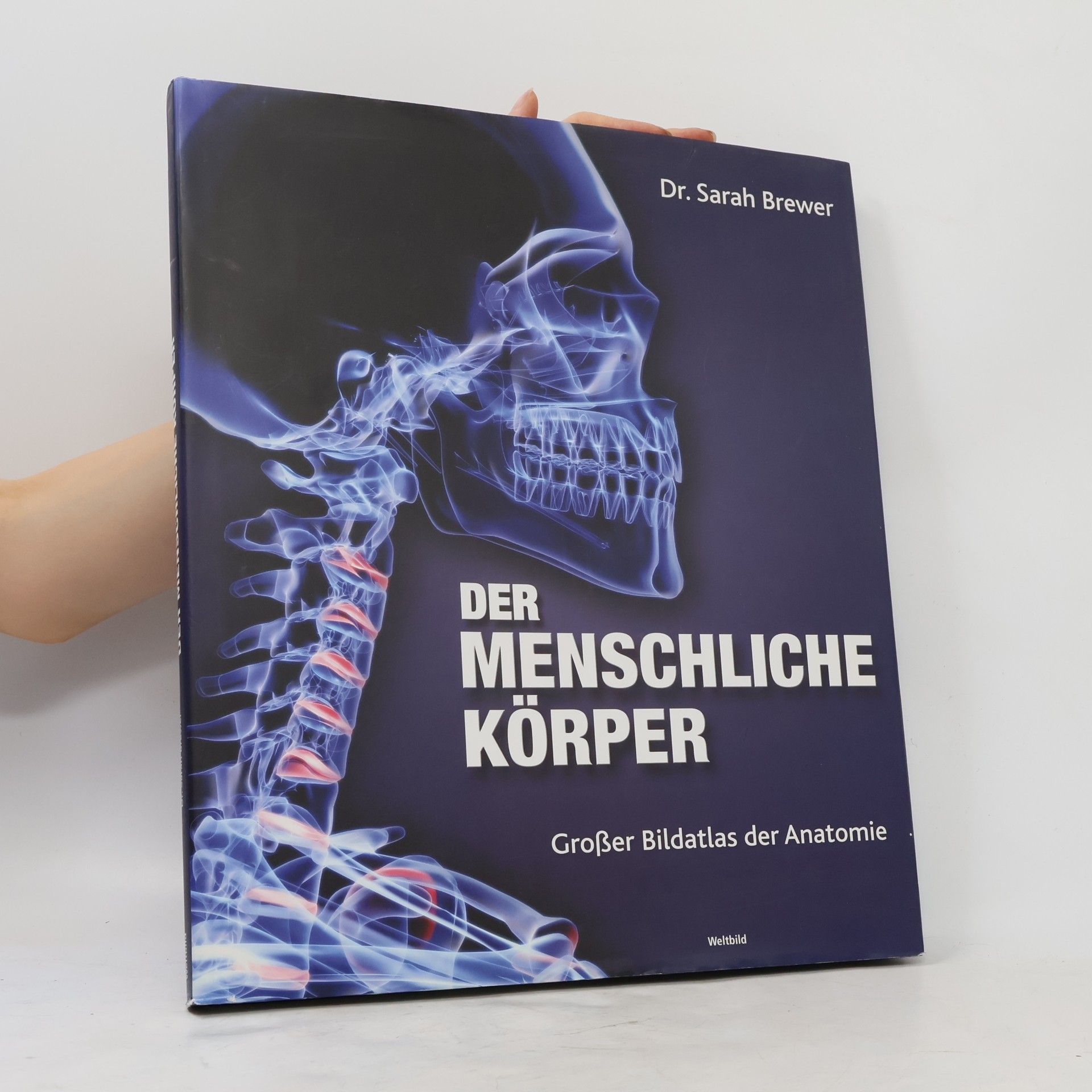Sarah Brewer Der menschliche Körper