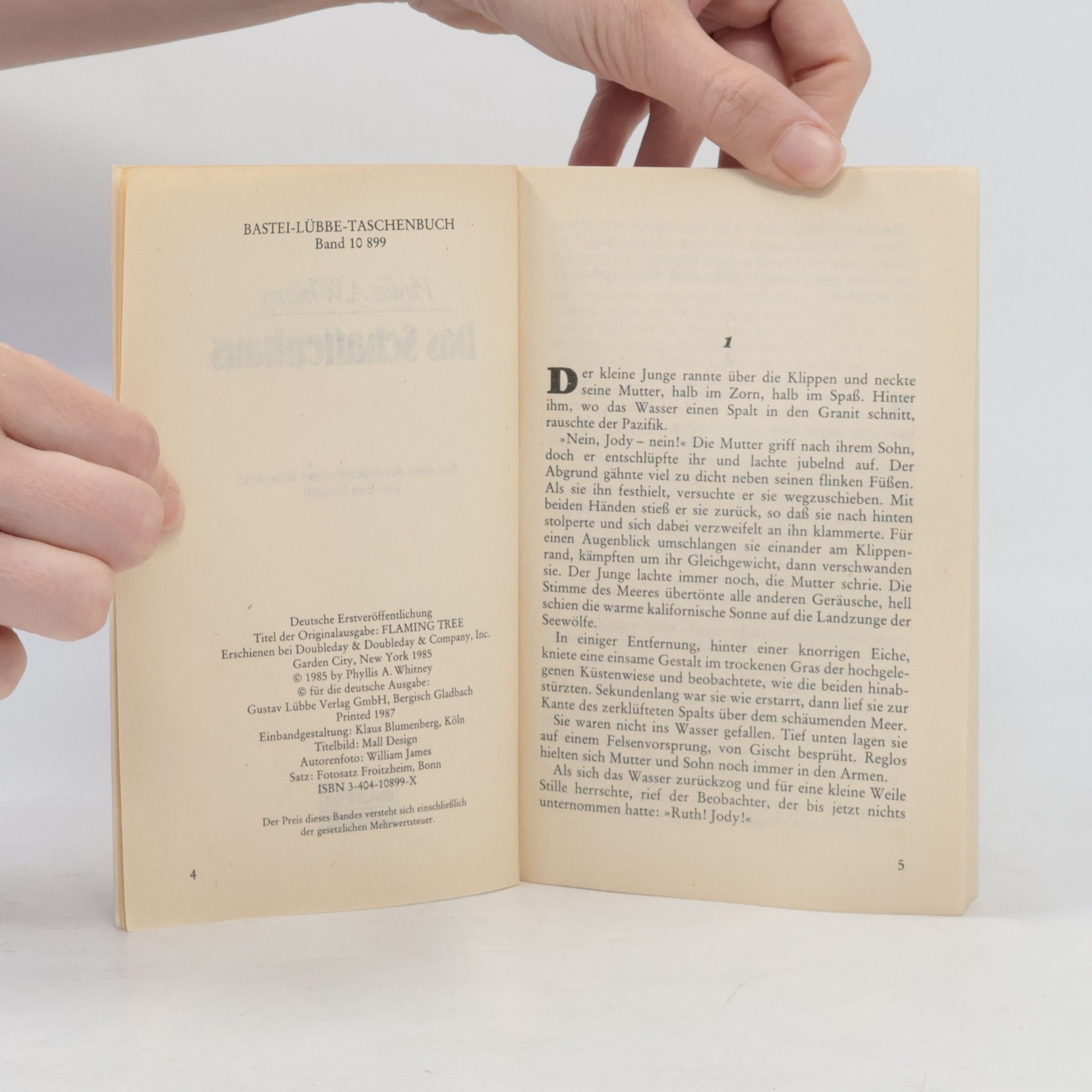 Phyllis A.W. Whitney Das Schattenhaus. Roman