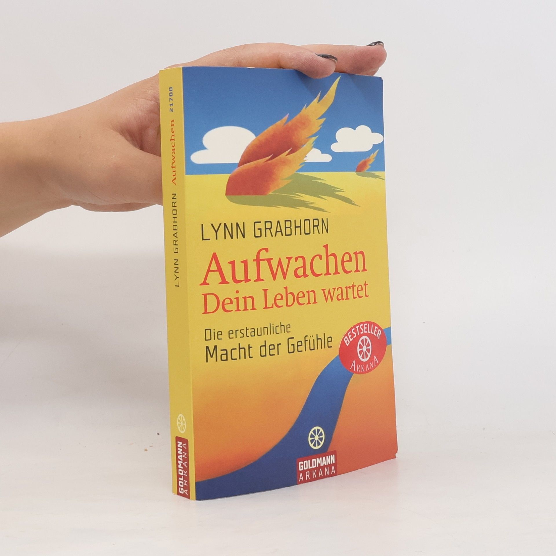 Lynn Grabhorn Aufwachen. Dein Leben wartet