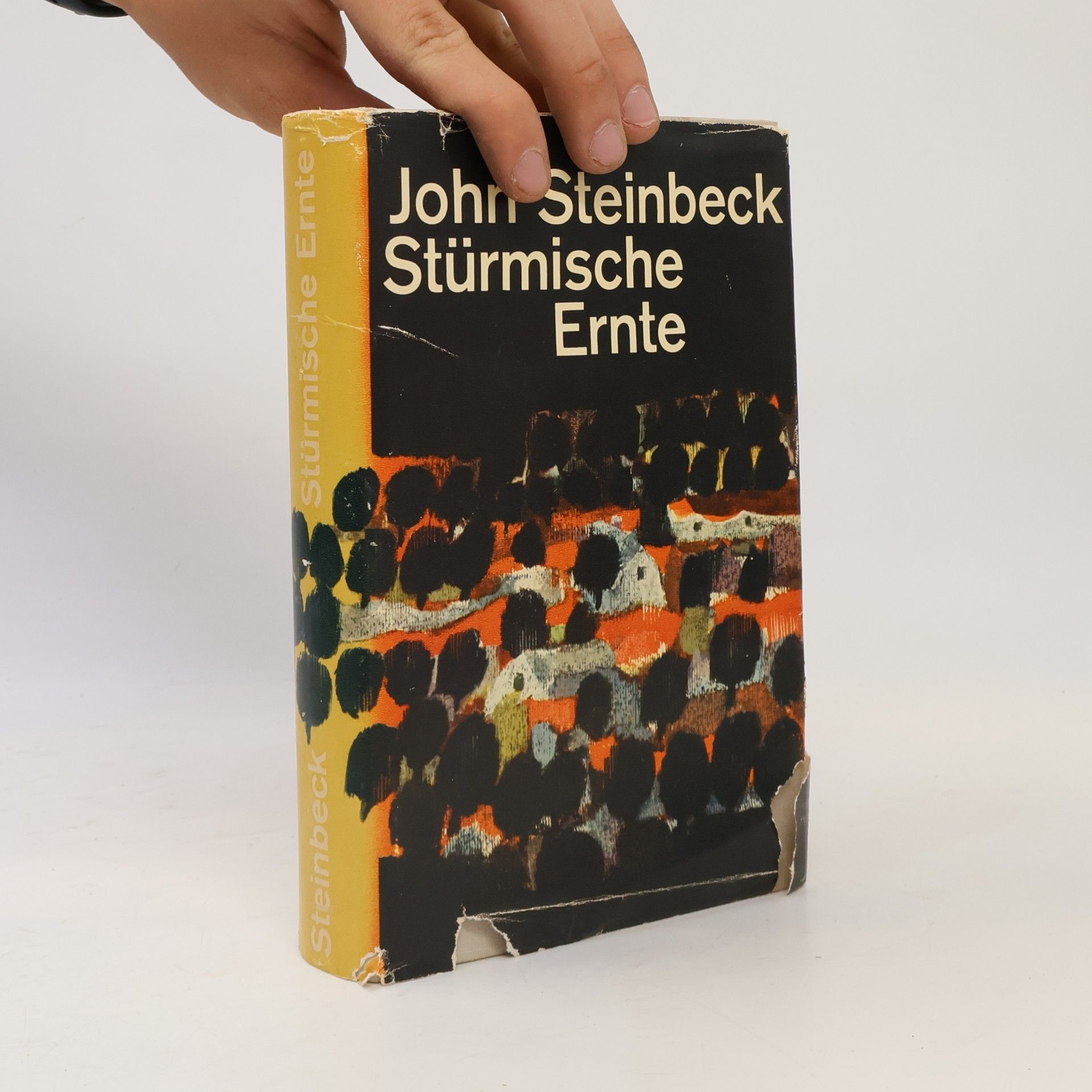 John Steinbeck Stürmische Ernte