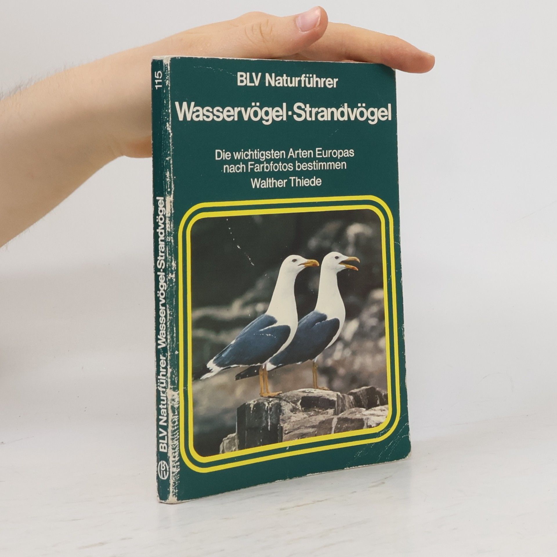 Walther Thiede Wasservögel, Strandvögel