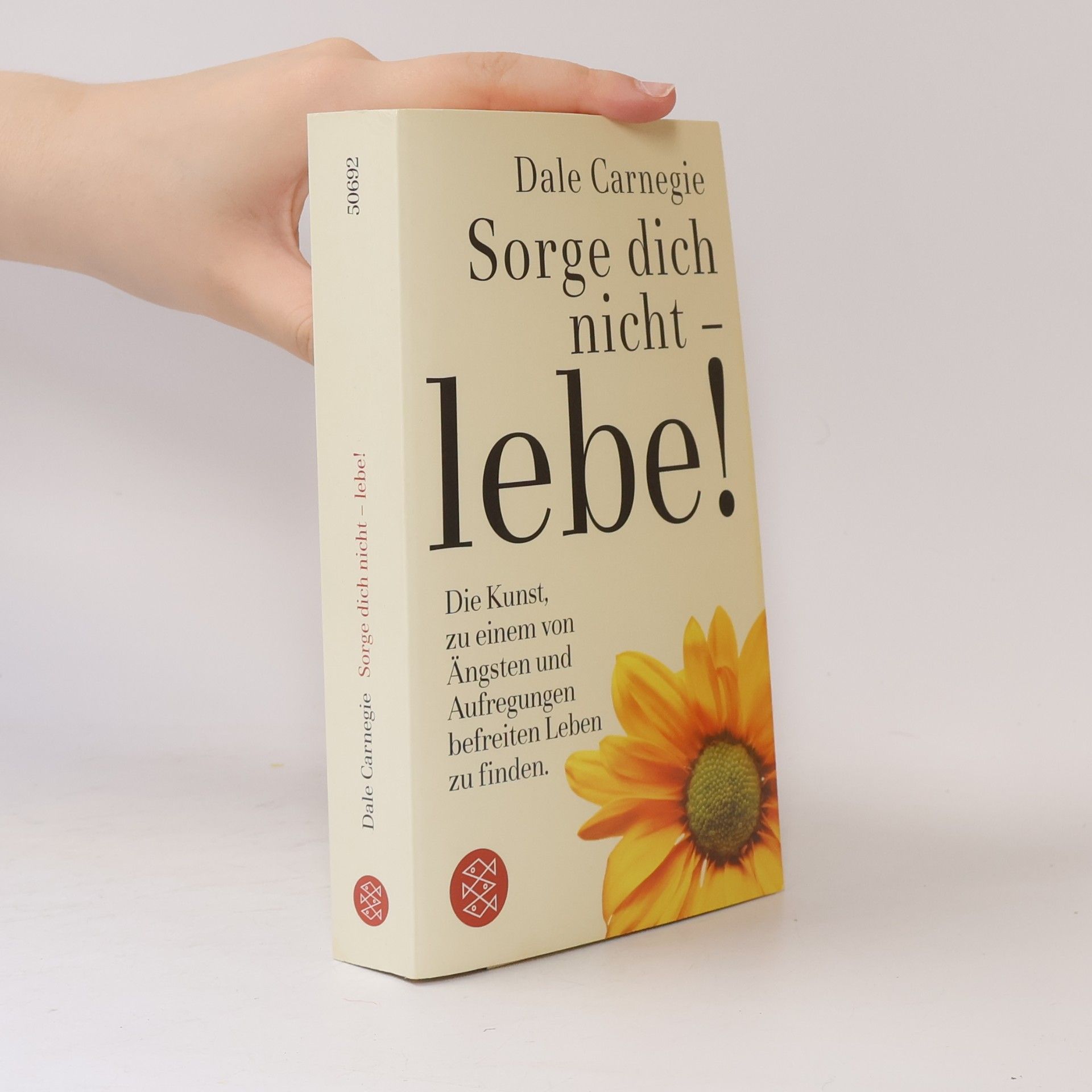 Dale Carnegie Sorge dich nicht - lebe!