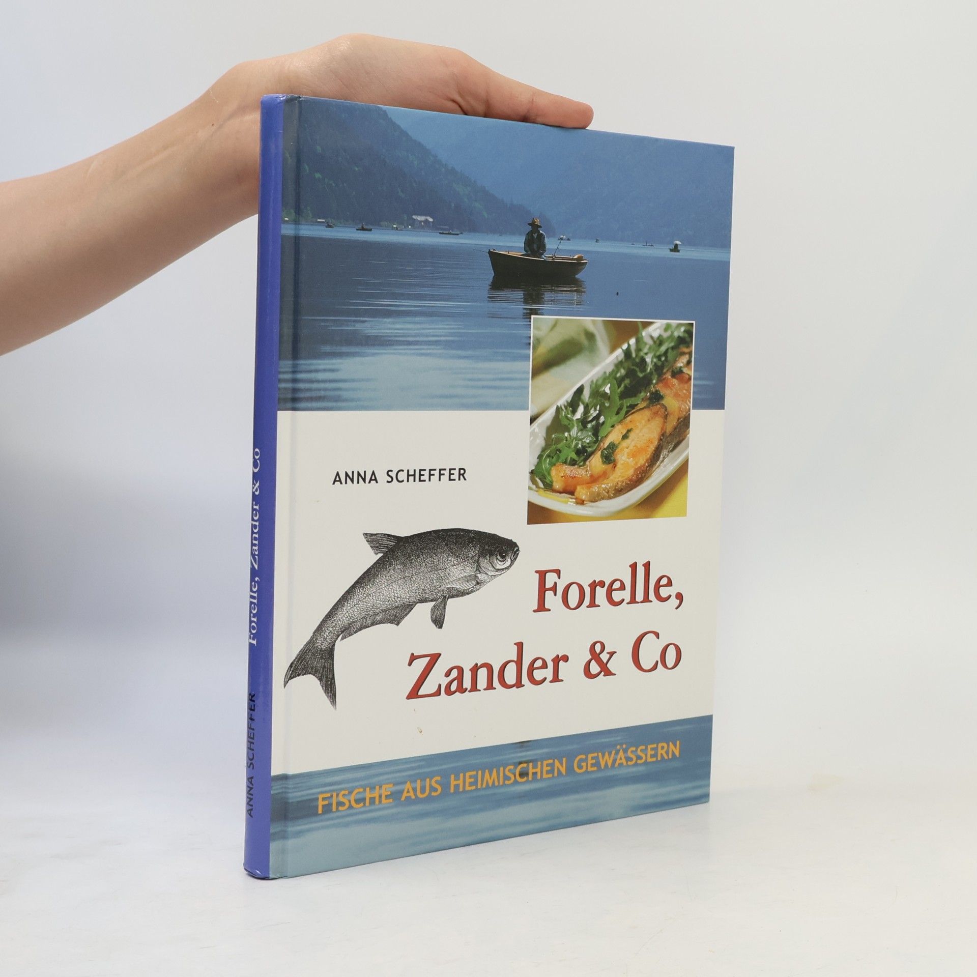 Anna Scheffer Forelle, Zander & Co