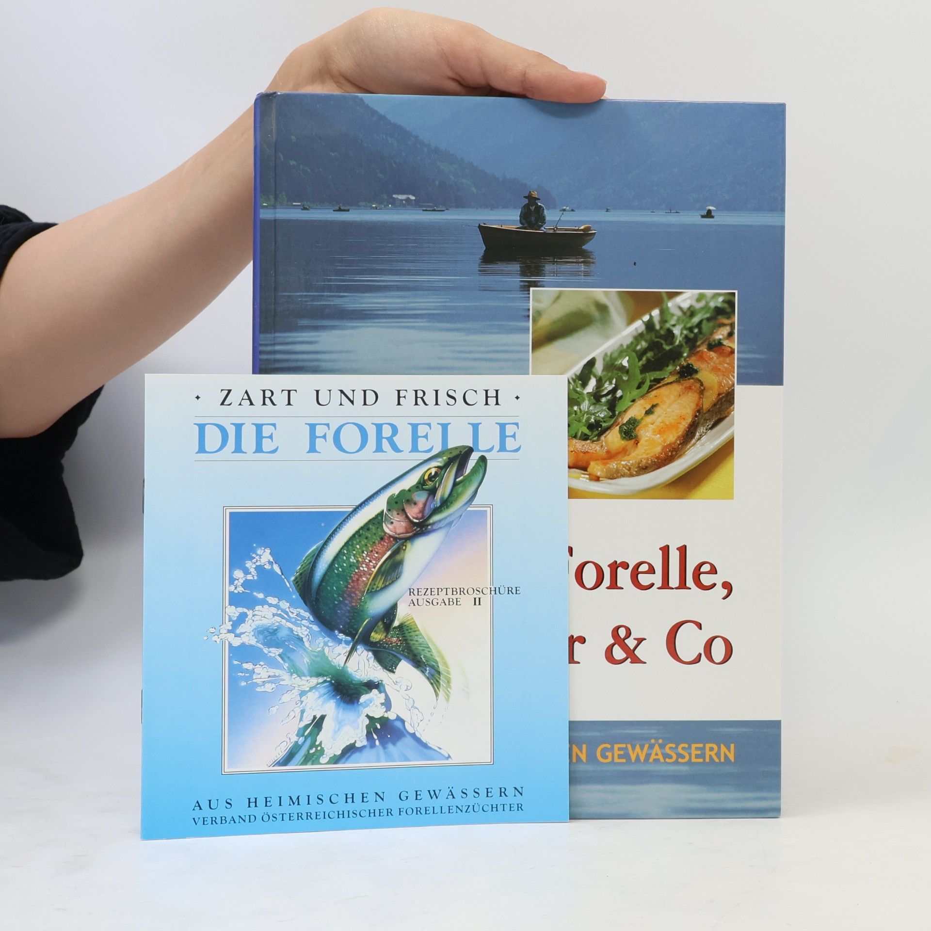 Anna Scheffer Forelle, Zander & Co