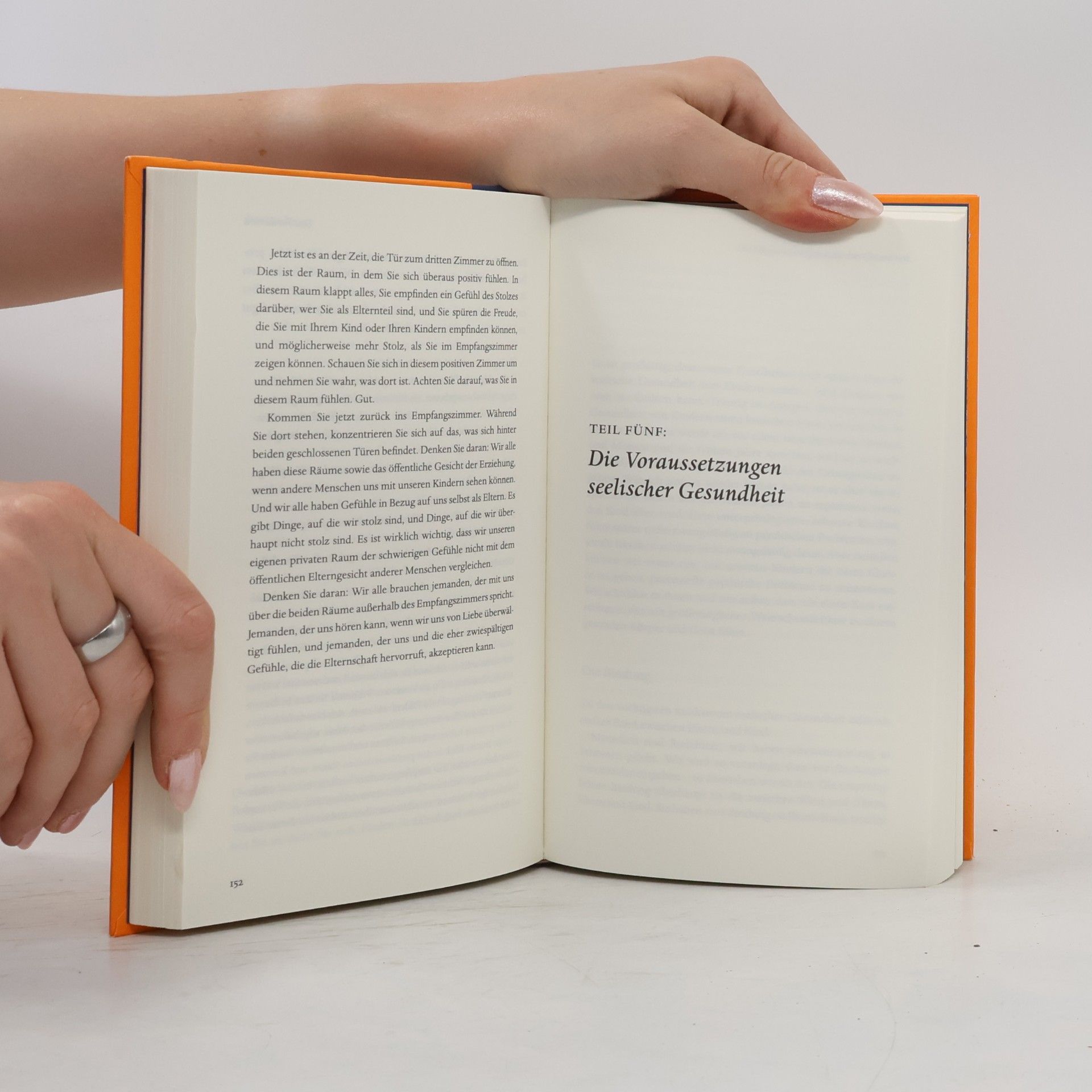 Philippa Perry Das Buch, von dem du dir wünschst, deine Eltern hätten es gelesen