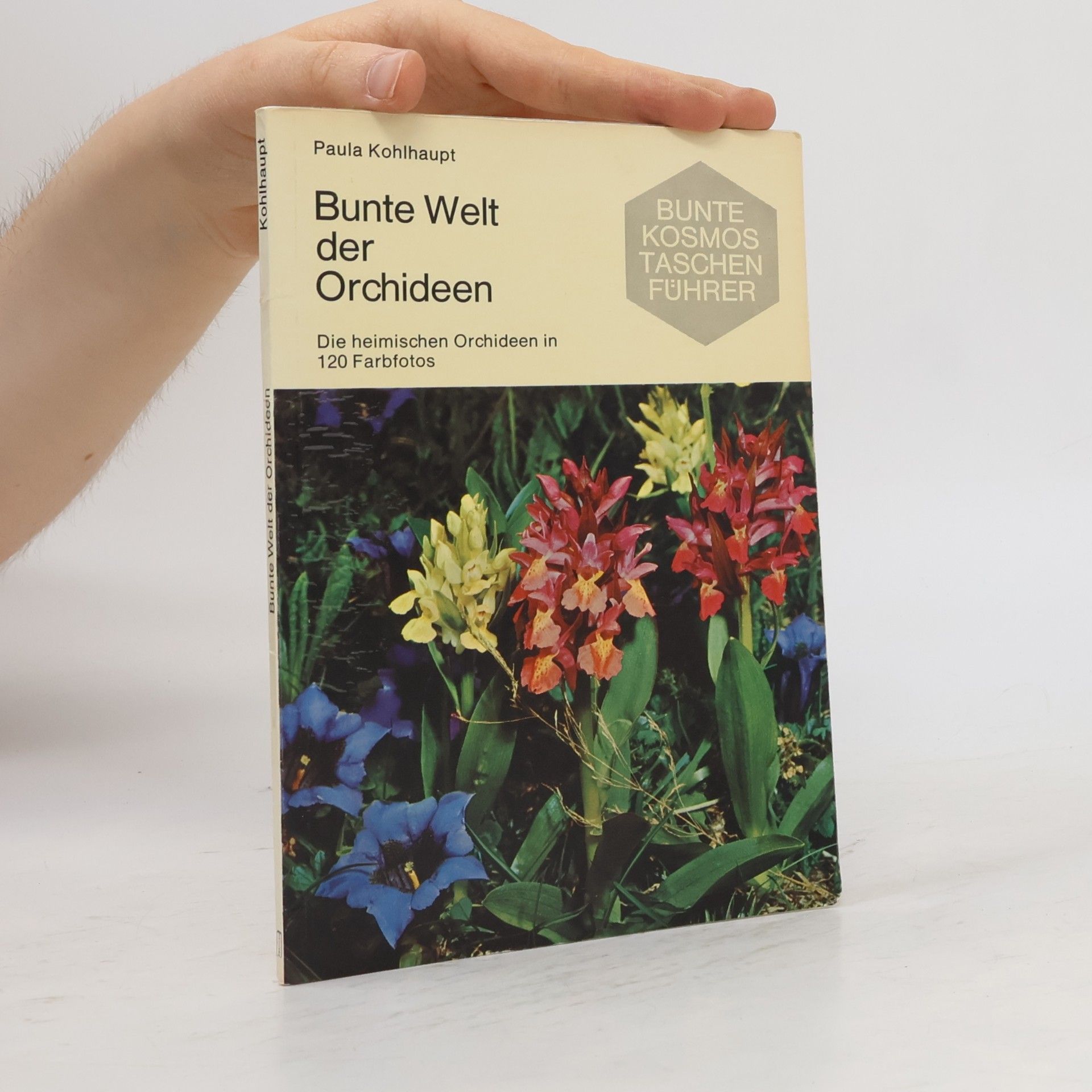 Paula Kohlhaupt Bunte Welt der Orchideen