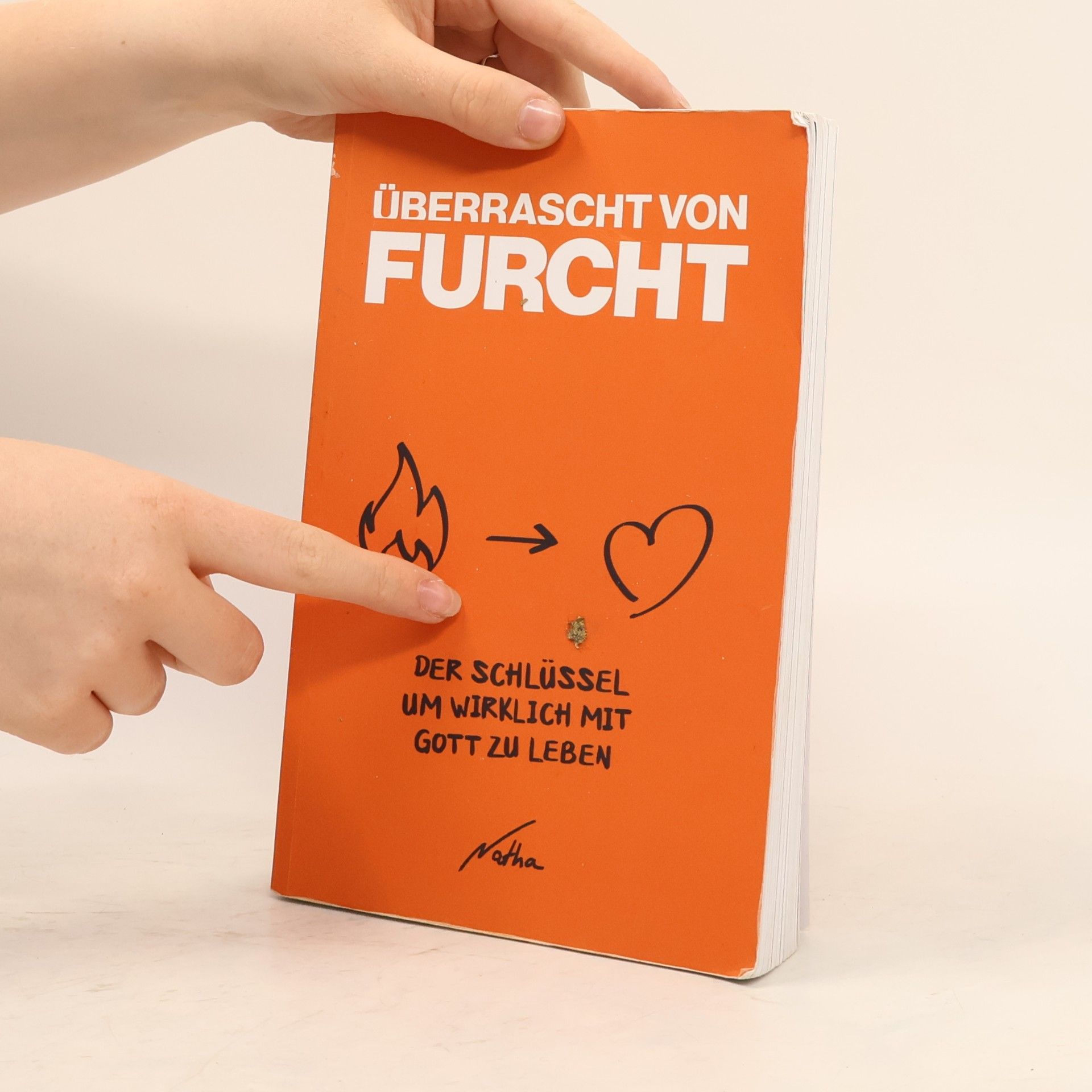 Kolektiv autorů Überrascht von Furcht