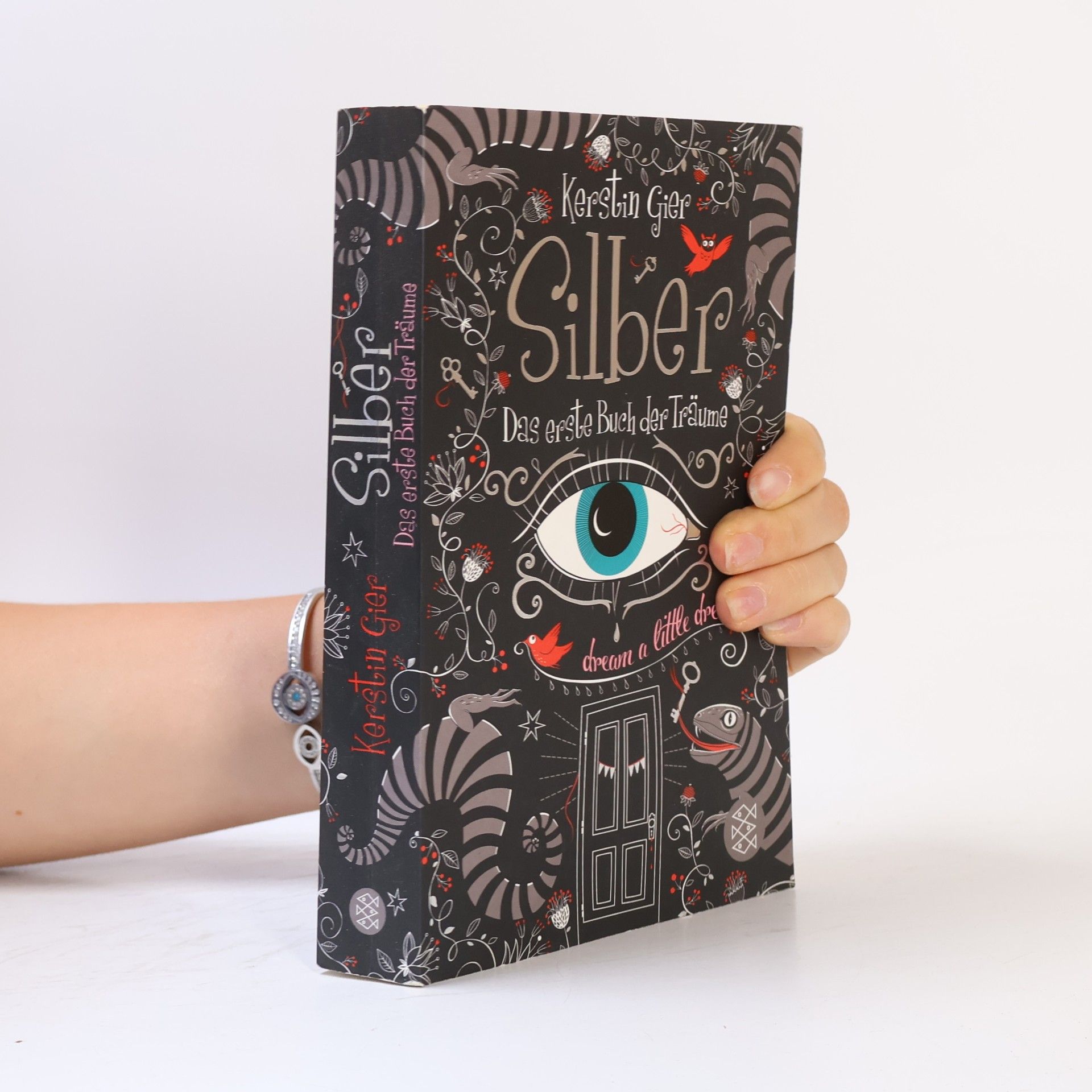 Silber. Das erste Buch der Träume