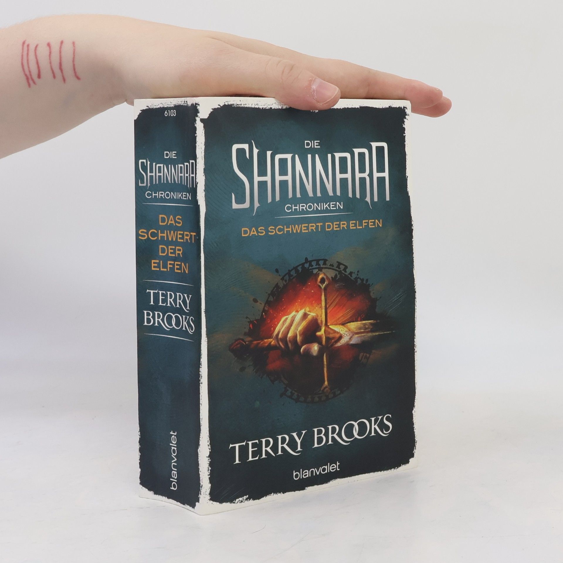 Terry Brooks Die Shannara-Chroniken - das Schwert der Elfen