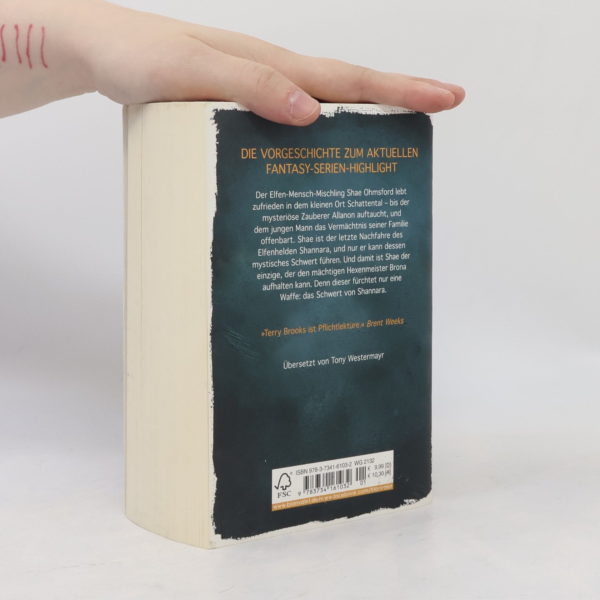 Terry Brooks Die Shannara-Chroniken - das Schwert der Elfen