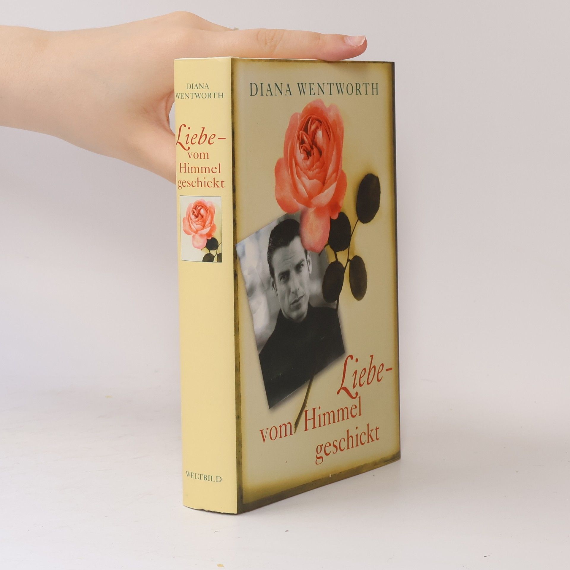 Diana Wentworth Liebe - vom Himmel geschickt