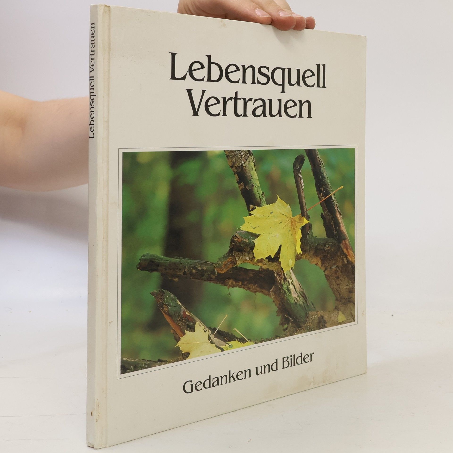 Steffen Thost Lebensquell Vetrauen
