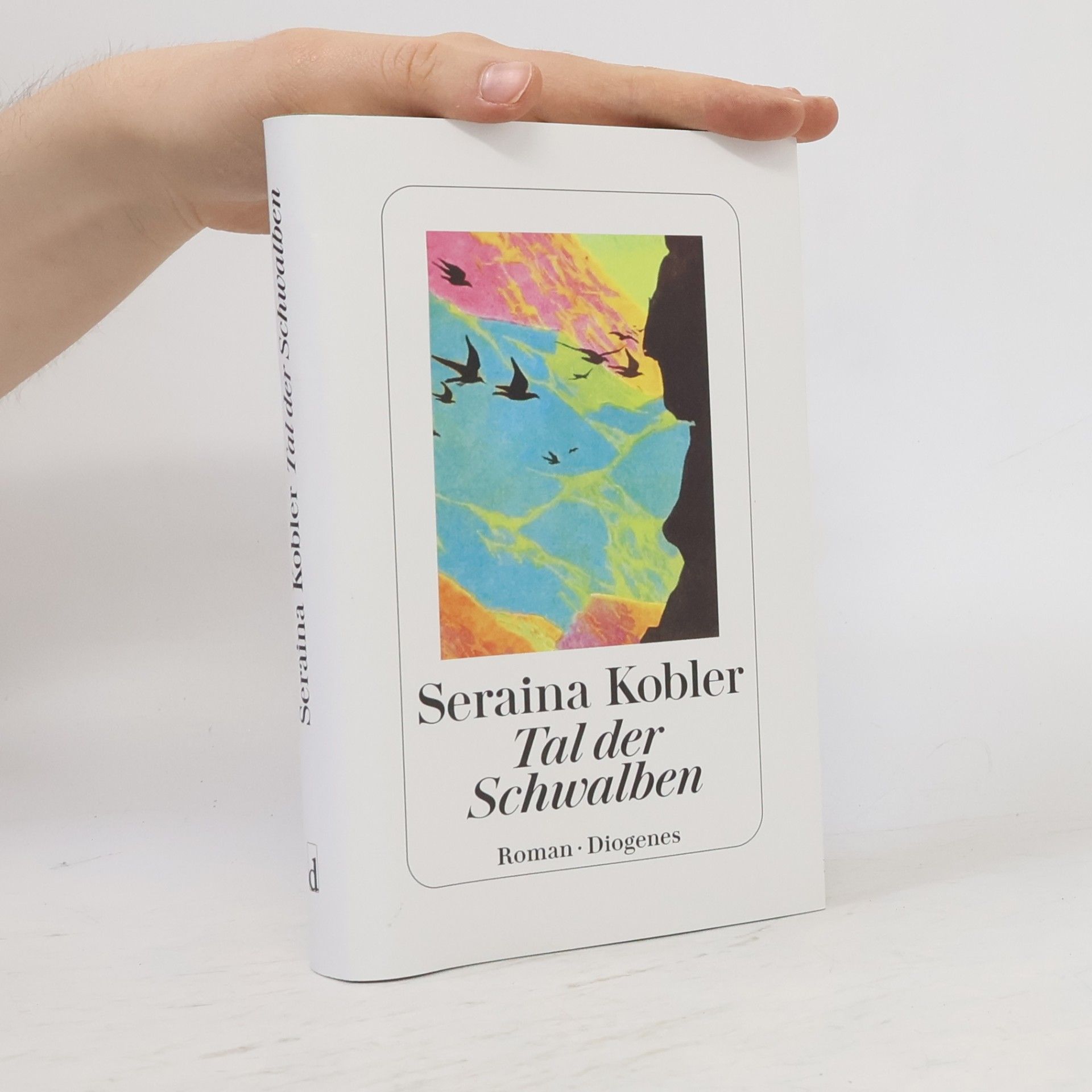 Seraina Kobler Tal der Schwalben