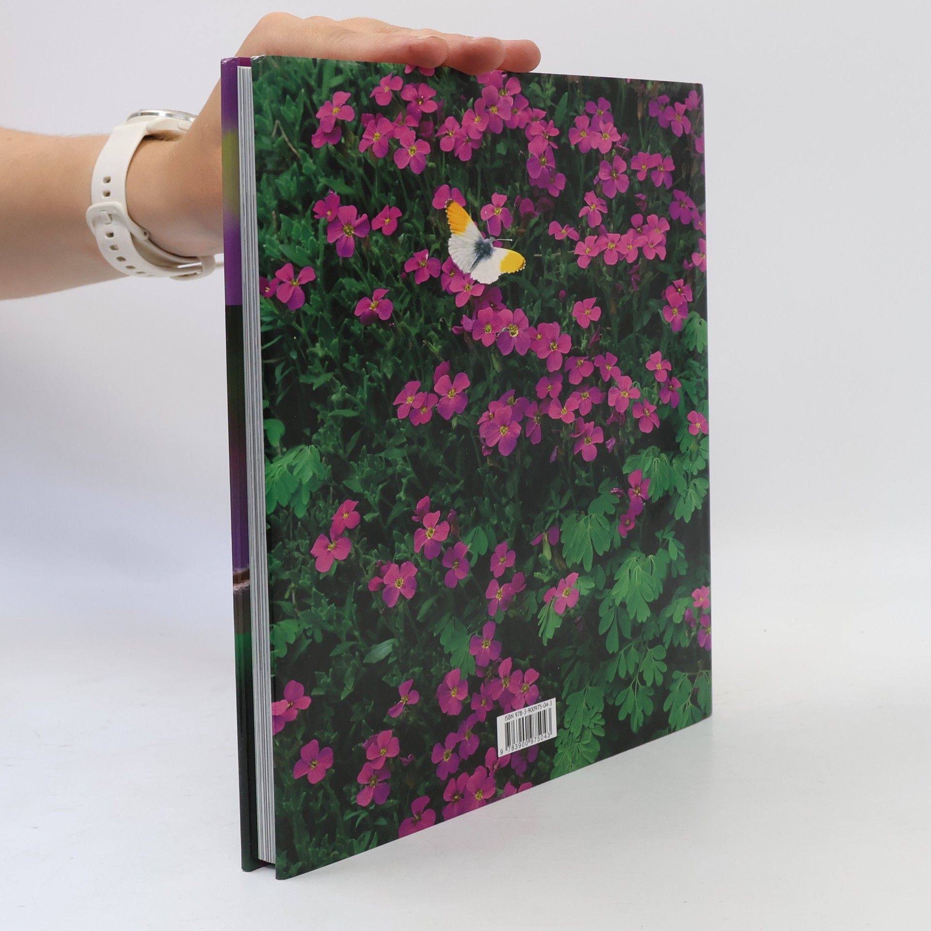 Herbert Pirker Faszination Alpen Garten. Ausseer Blumenparadies