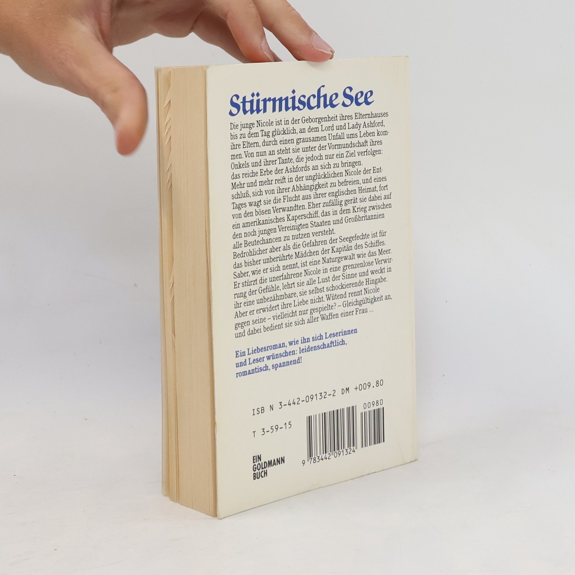 Shirlee Busbee Stürmische See
