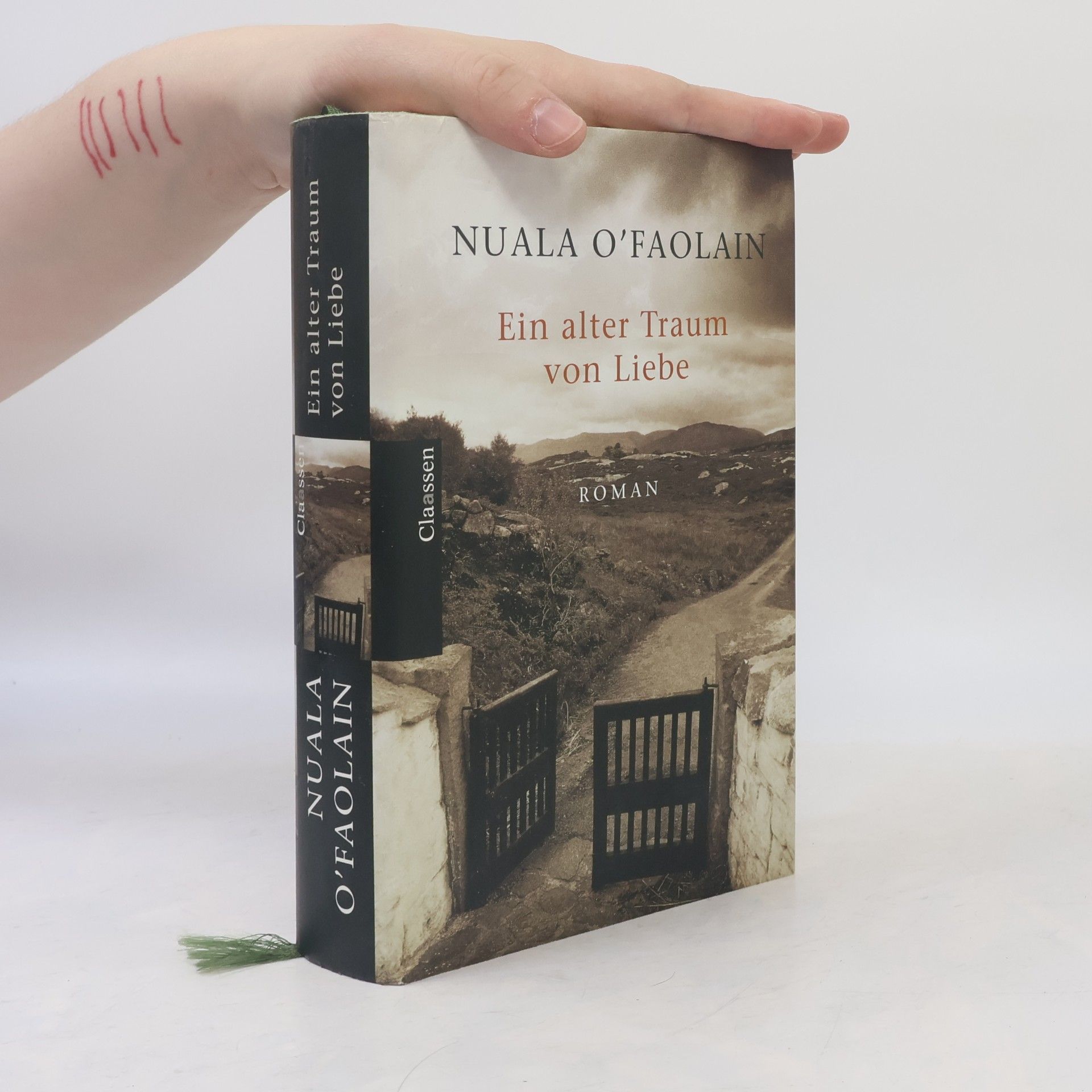 Nuala O. Faolain Ein alter Traum von Liebe