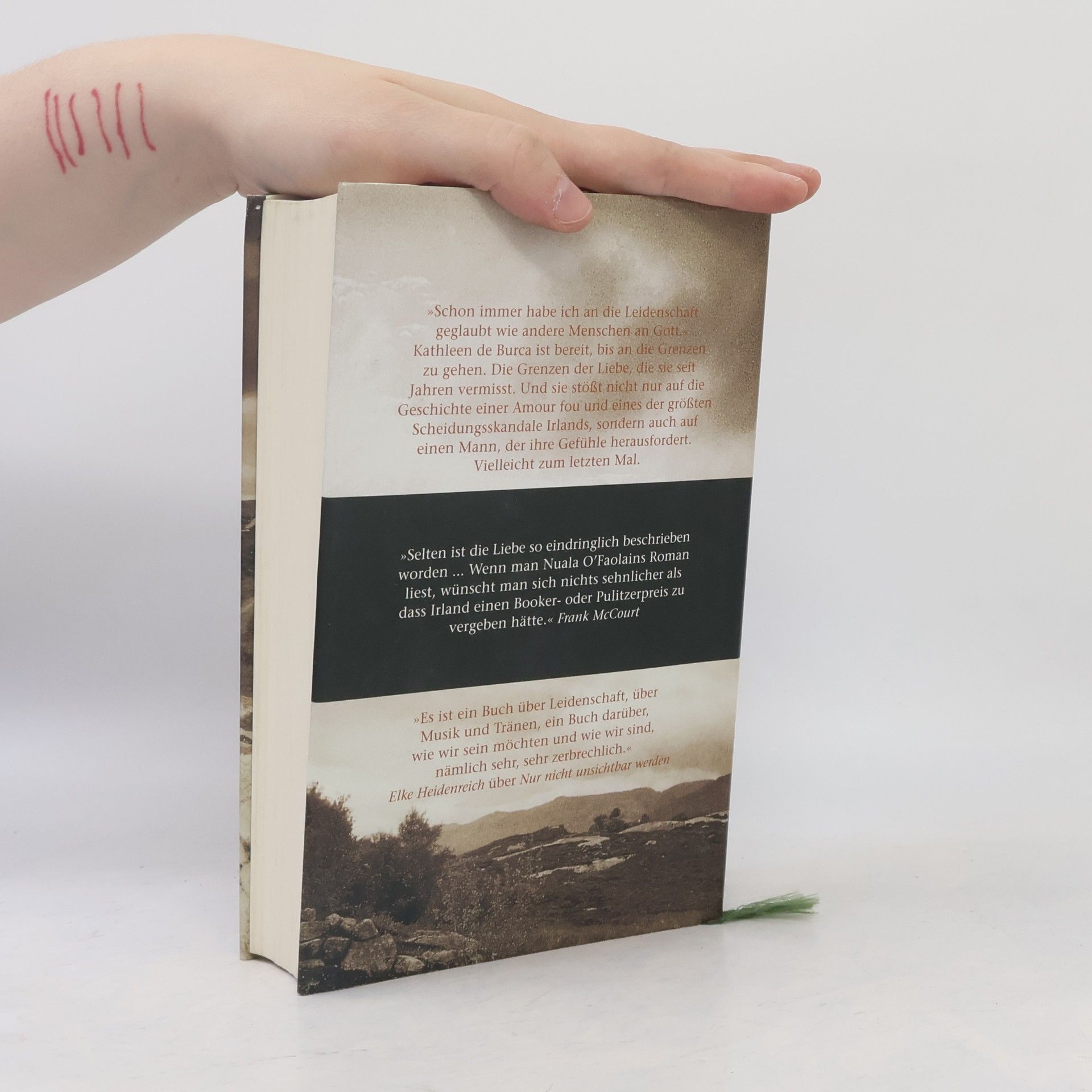 Nuala O. Faolain Ein alter Traum von Liebe