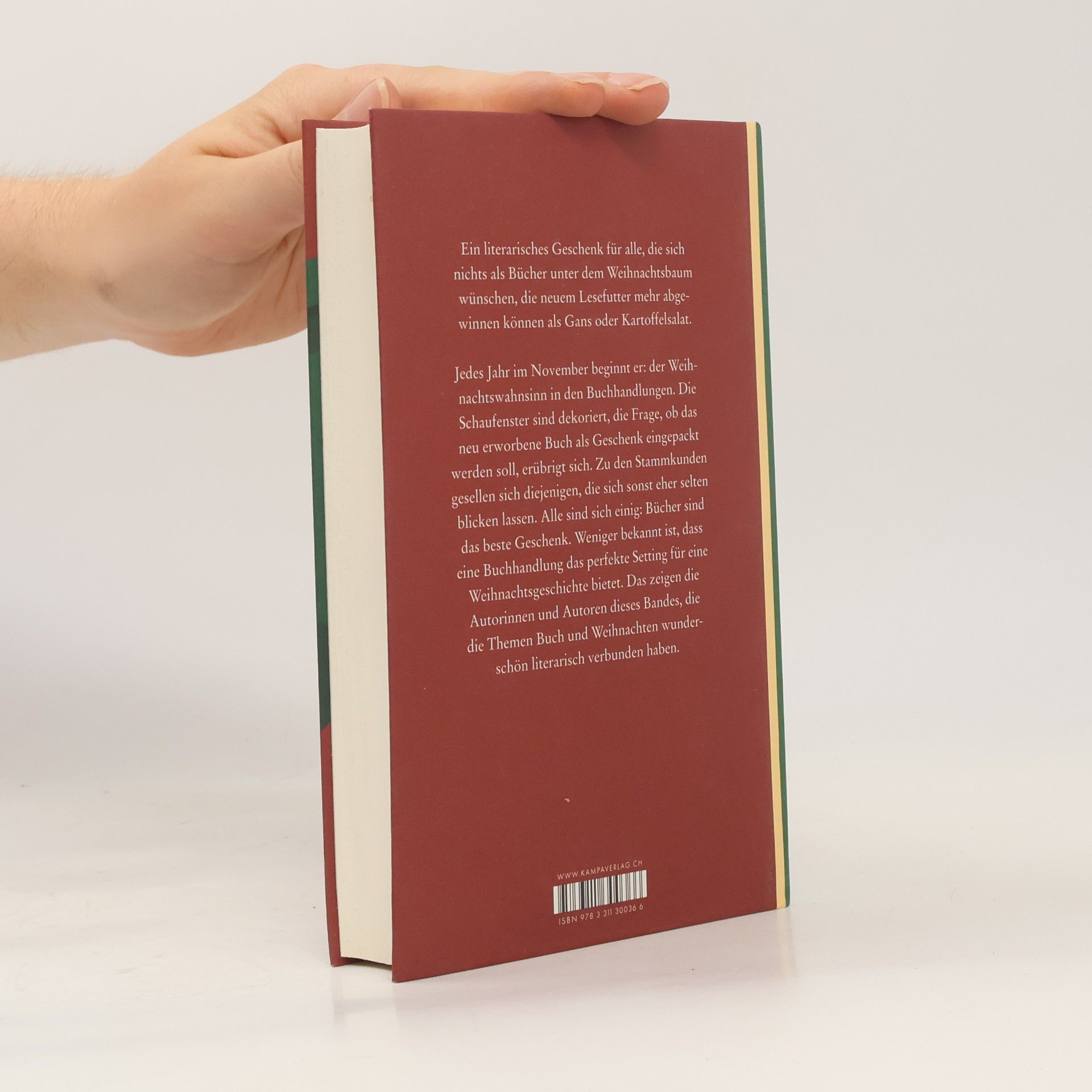 Aleksia Sidney Ein Wunschzettel voller Bücher
