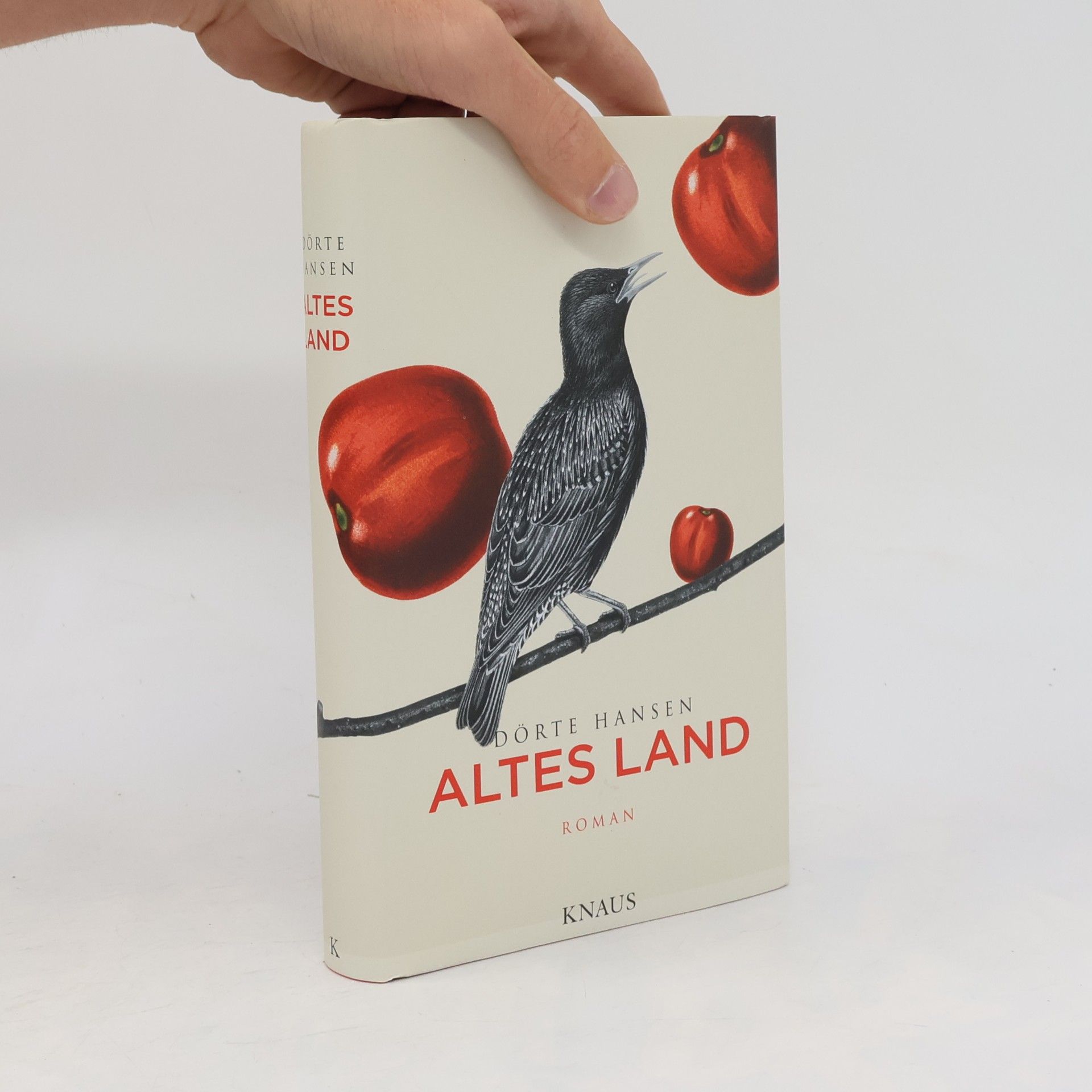 Dörte Hansen Altes Land