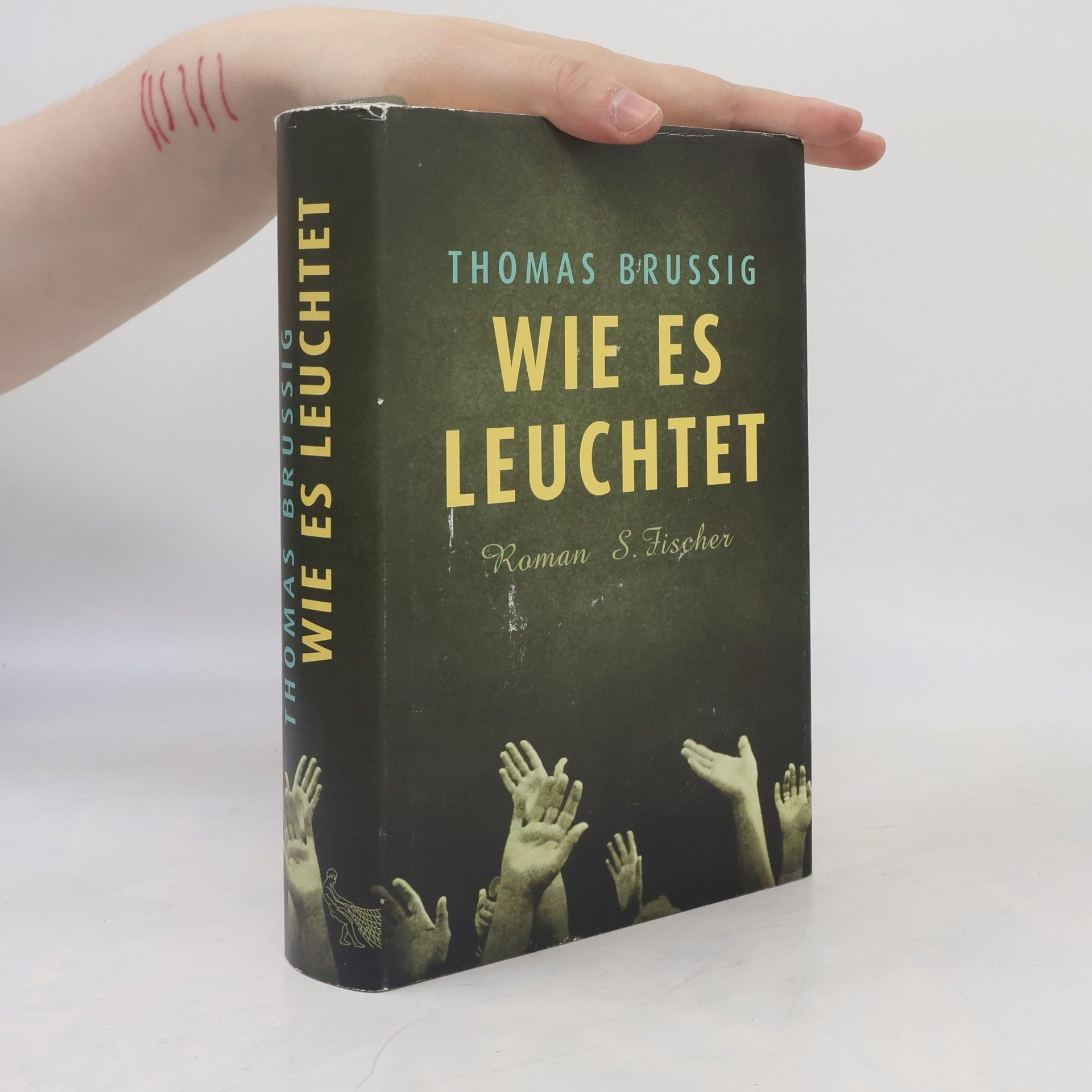 Thomas Brussig Wie es leuchtet