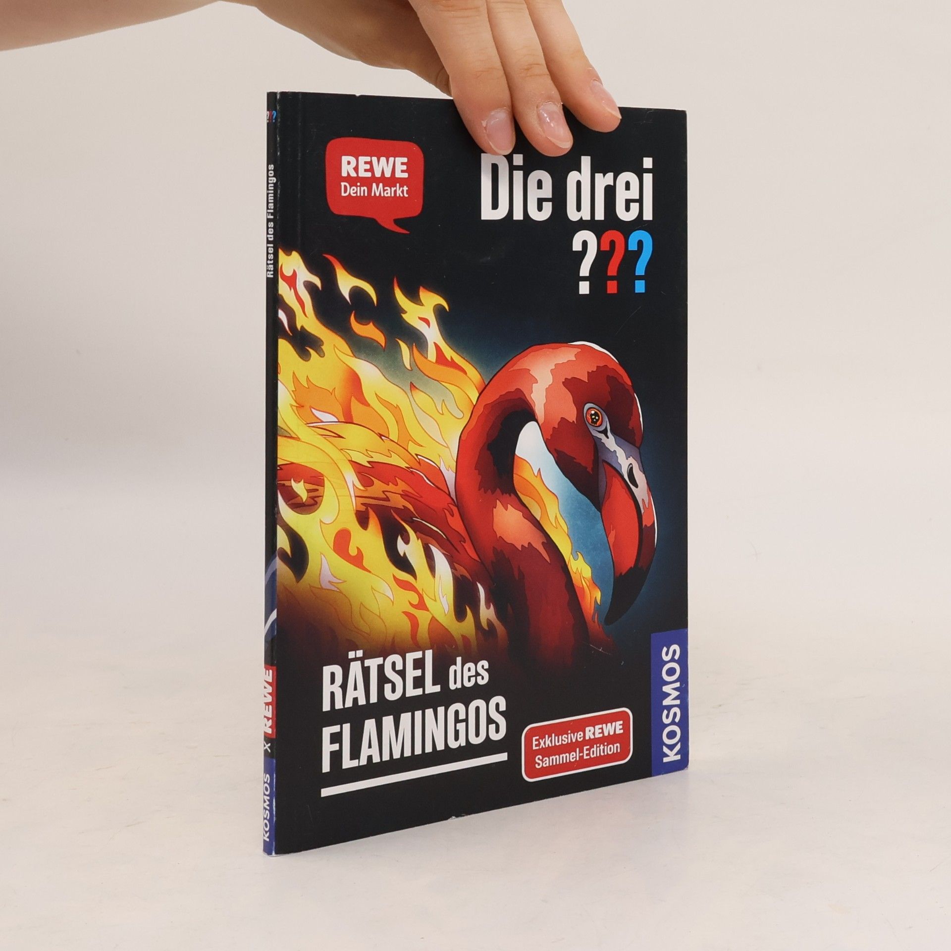 Andreas Ruch Die drei??? Rätsel des Flamingos