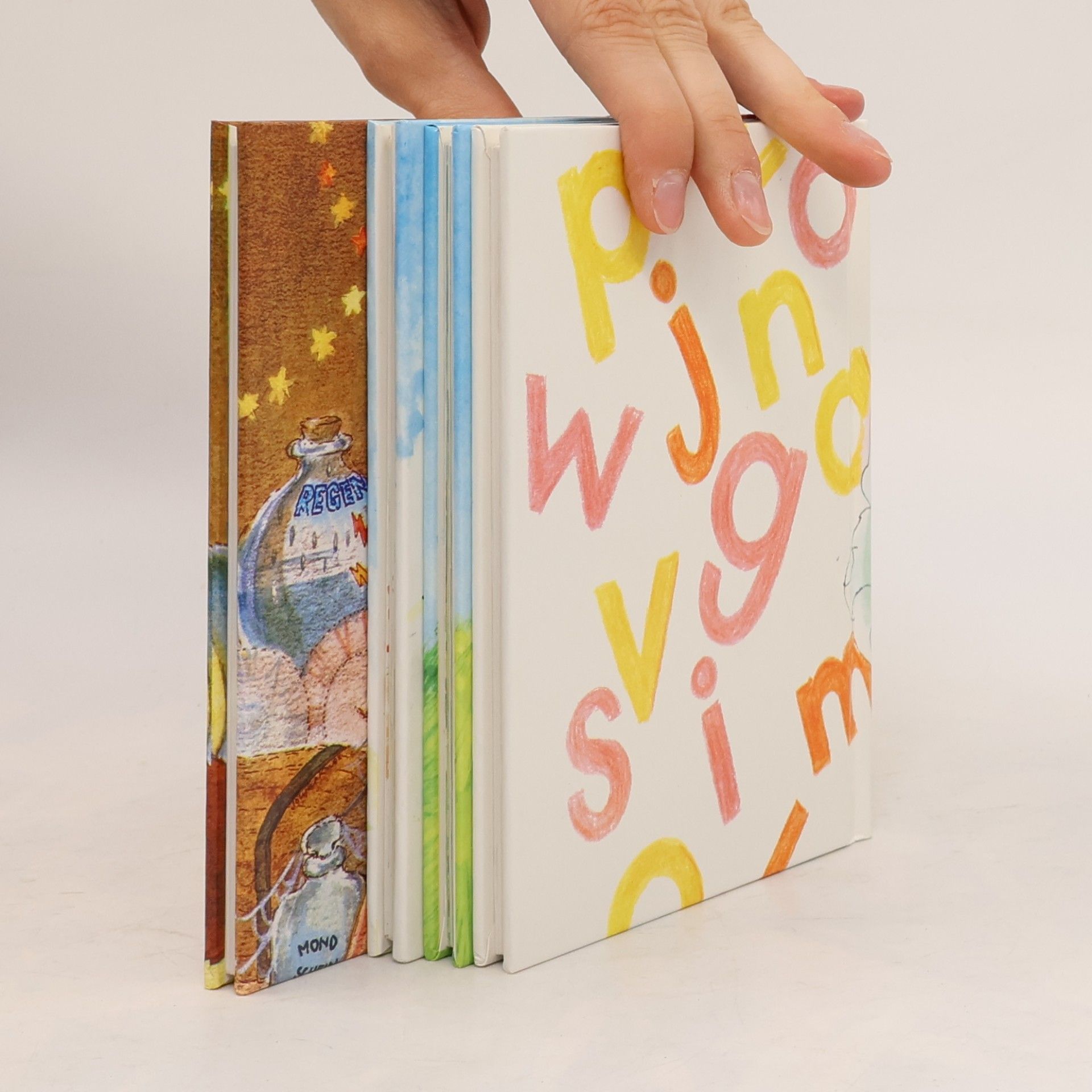 Kolektiv autorů Meine ersten Bücher