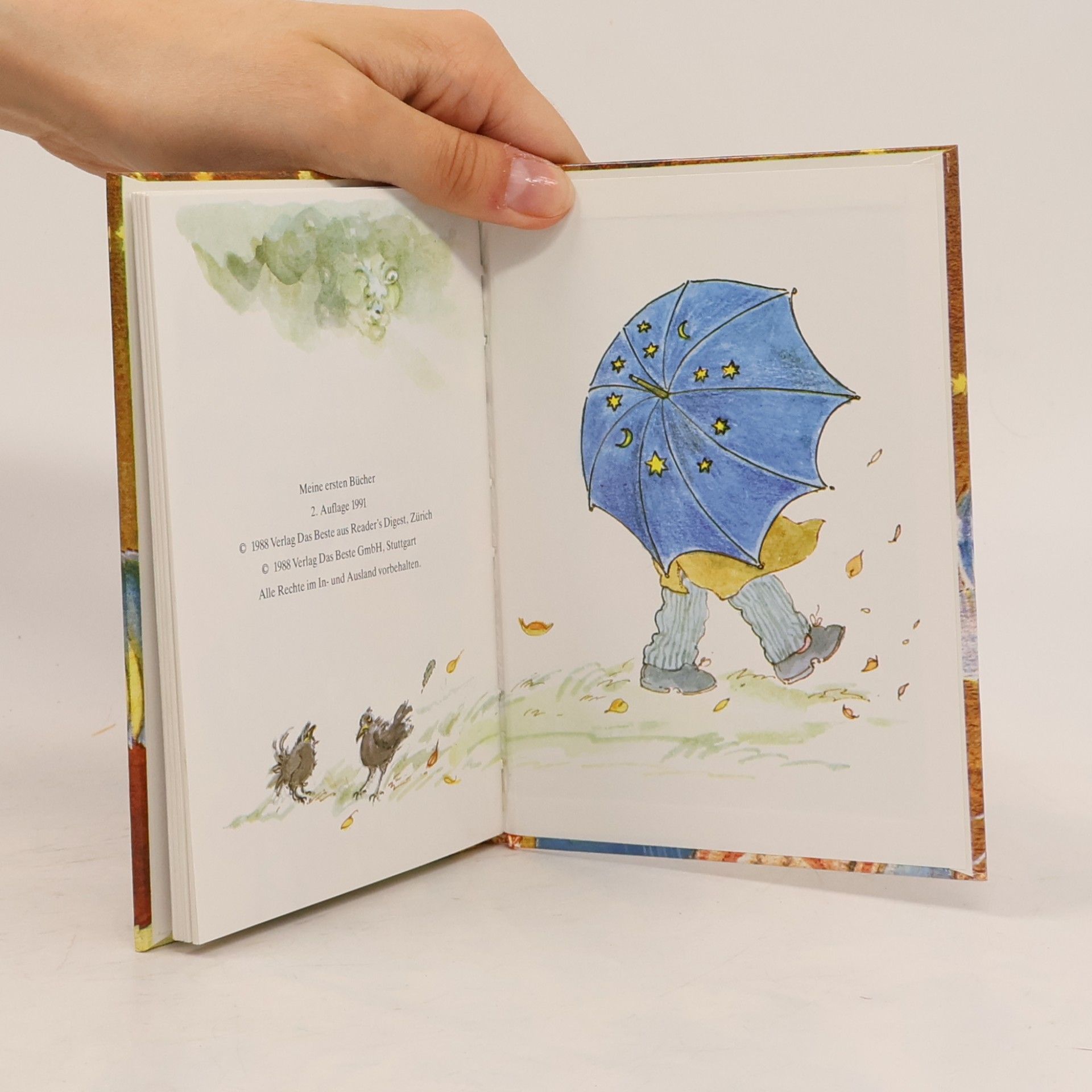 Kolektiv autorů Meine ersten Bücher