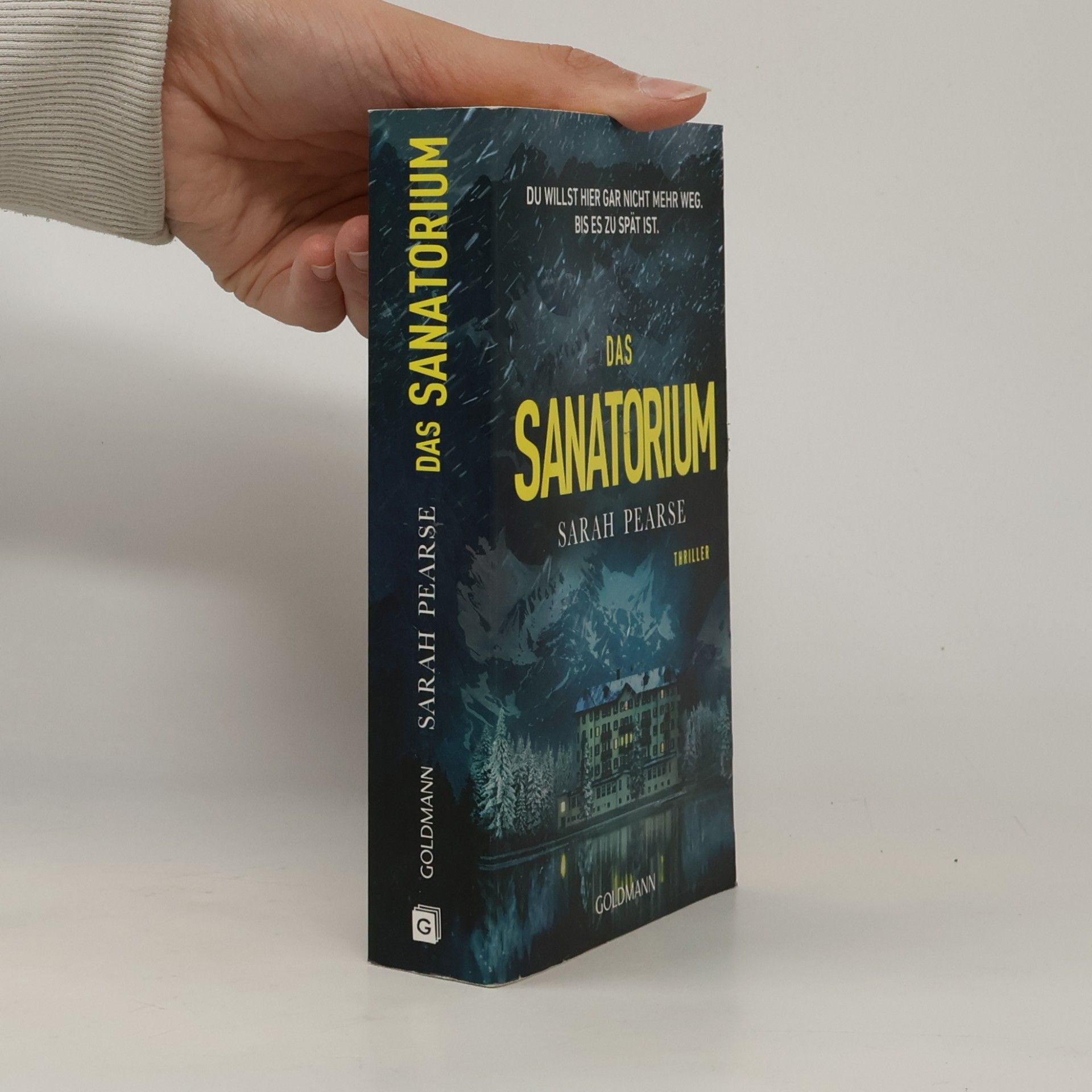 Sarah Pearse Das Sanatorium
