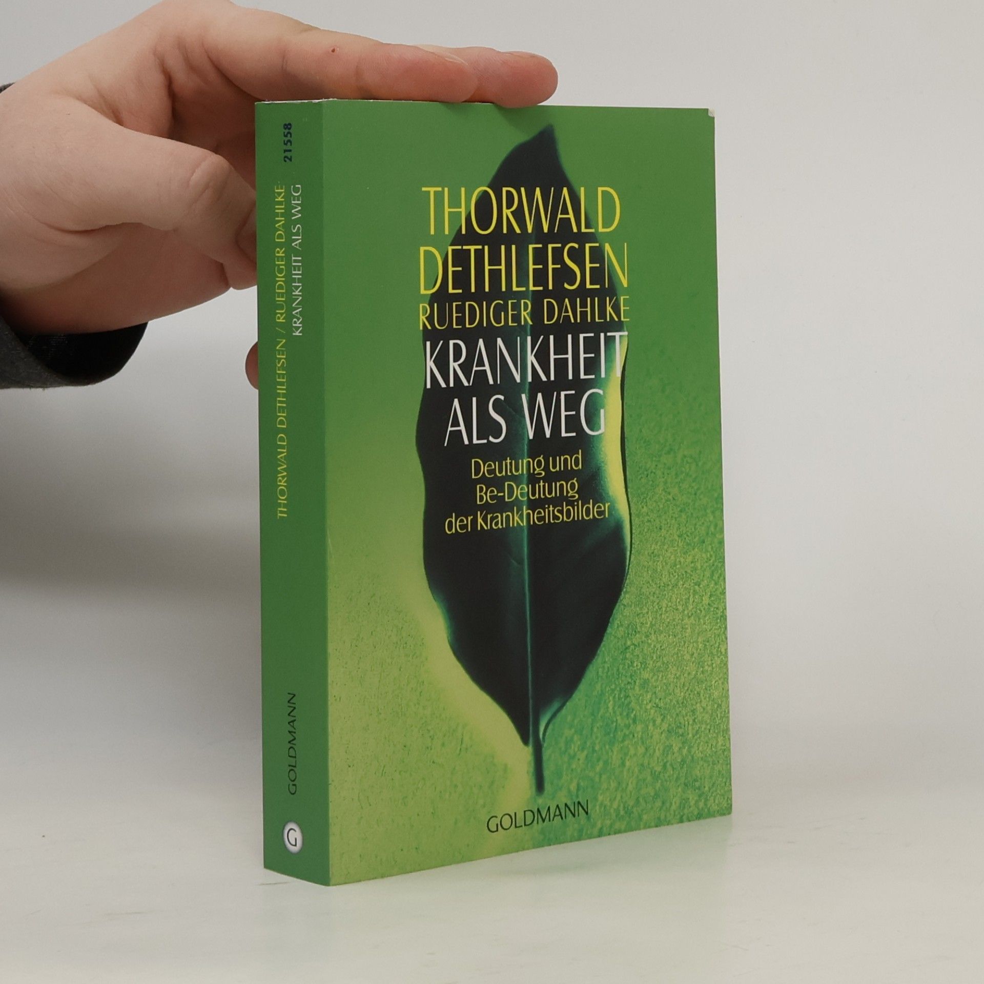 Thorwald Dethlefsen Krankheit als Weg