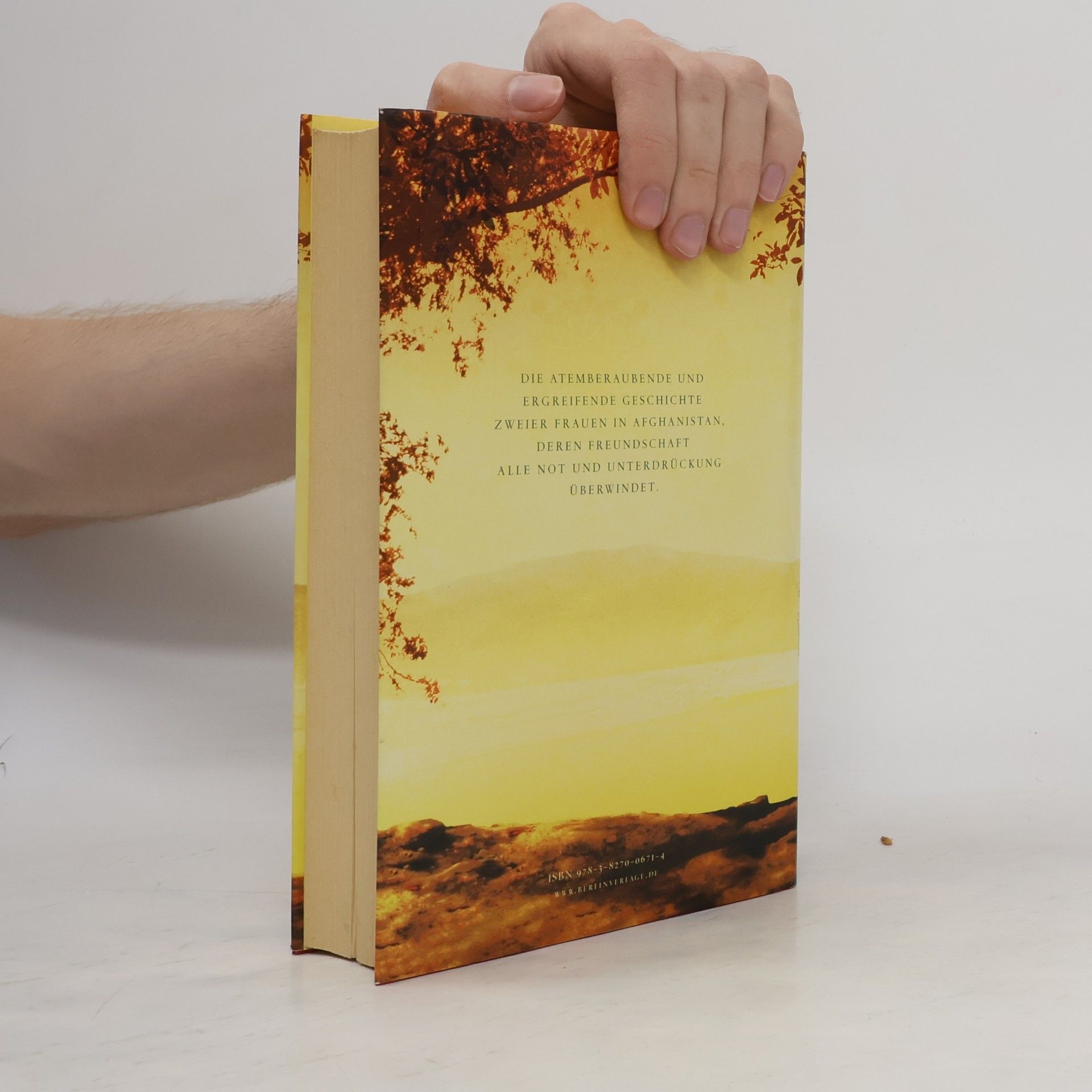 Khaled Hosseini Tausend strahlende Sonnen