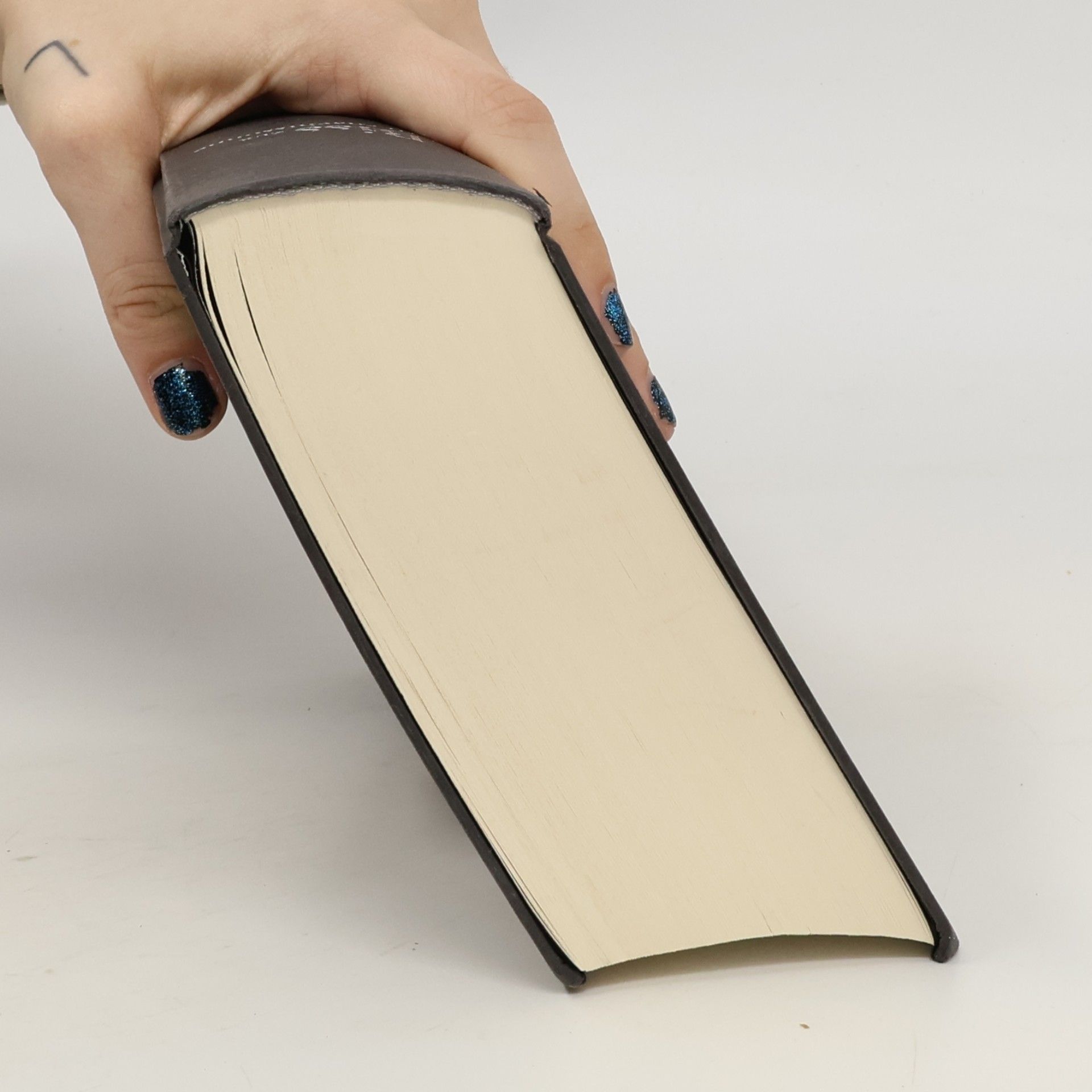 Stephenie Meyer Biss zur Mitternachtssonne