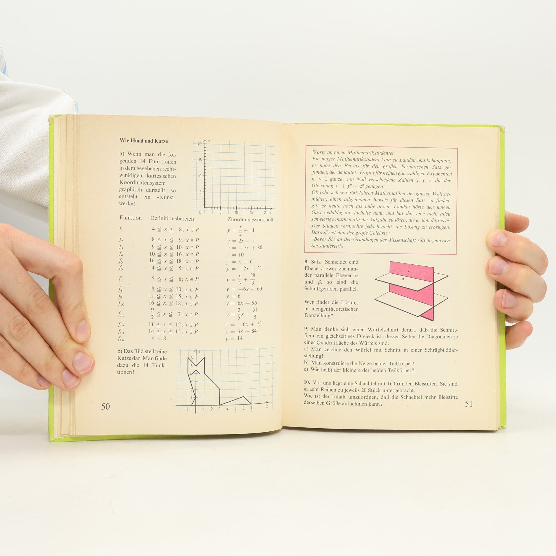 Johannes Lehmann Kurzweil durch Mathe