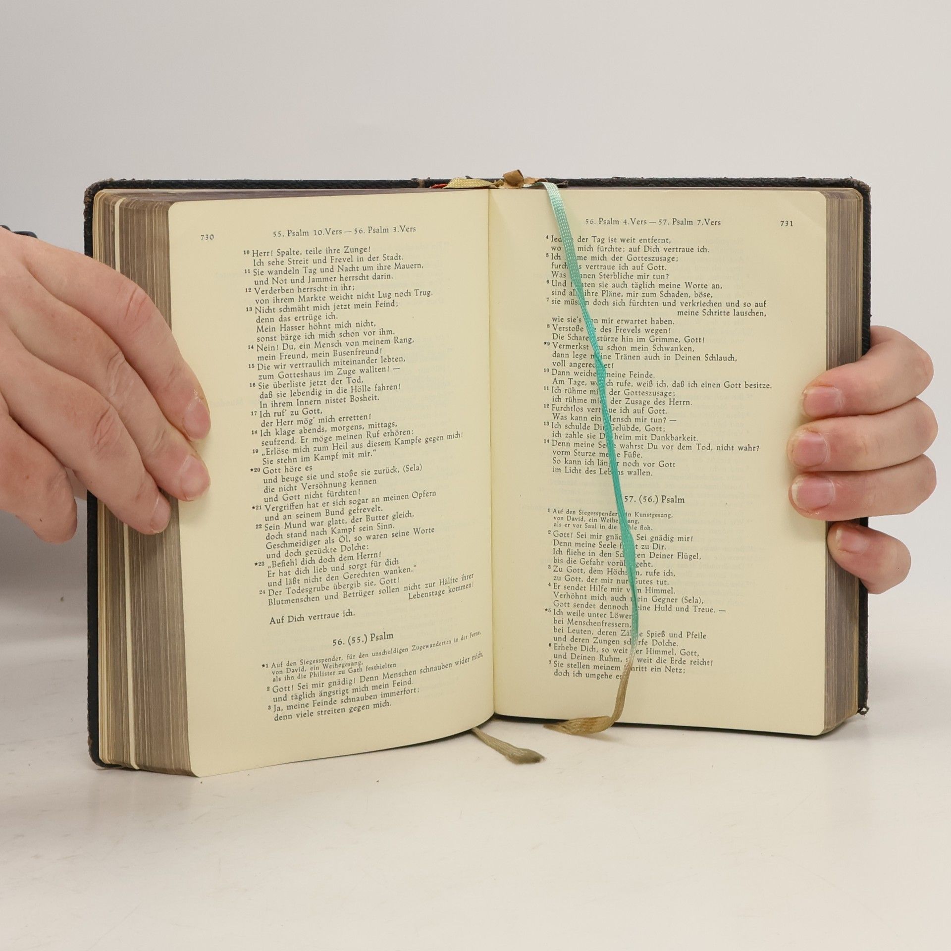 Autorenkollektiv Die heilige Schrift des Alten und des Neuen Bundes